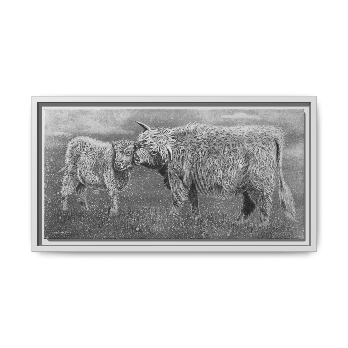 Highland Love, Highland Cattle Framed Canvas Art Print