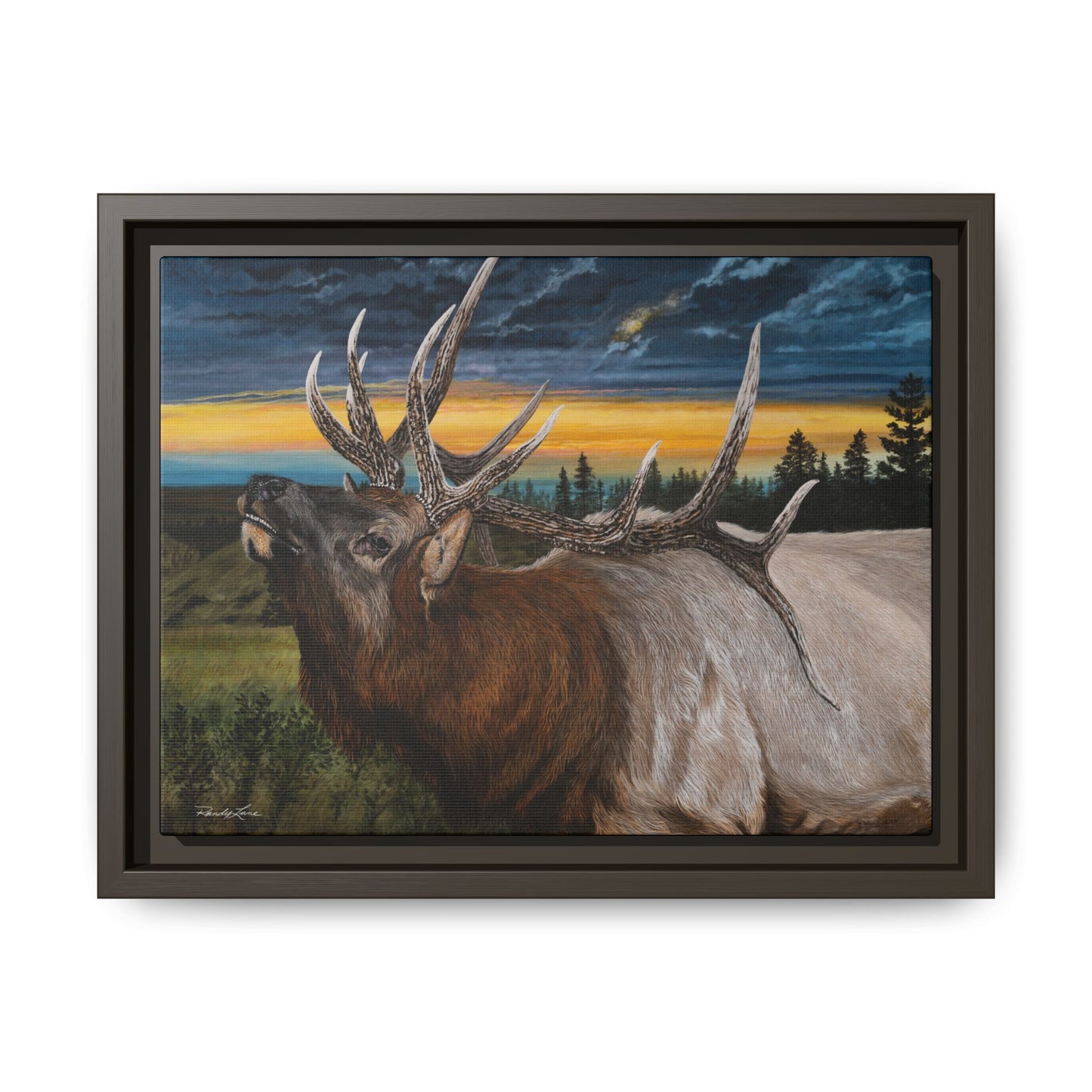 Sunset Serenade,  Elk Framed Matte Canvas Print