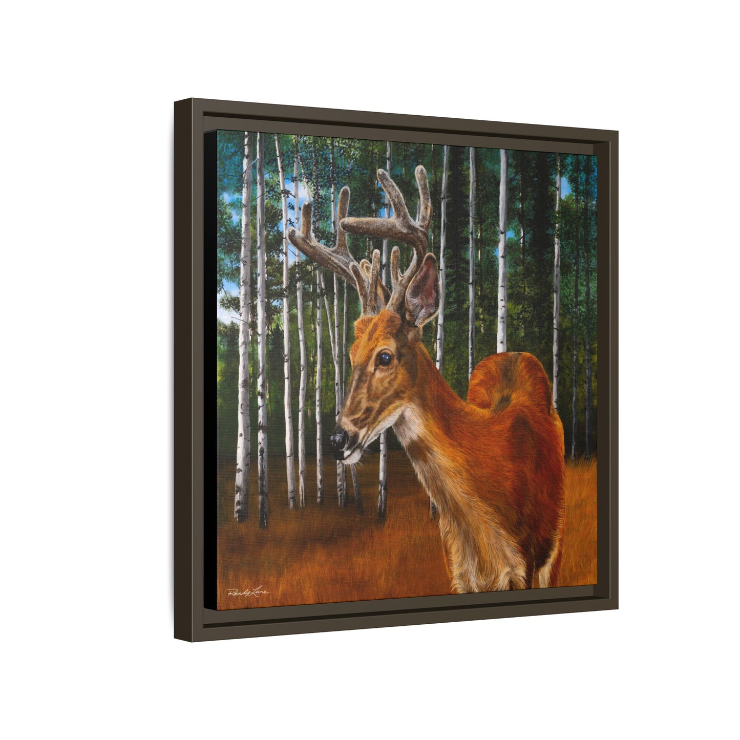 Velvet Crush, Framed Deer Canvas Art