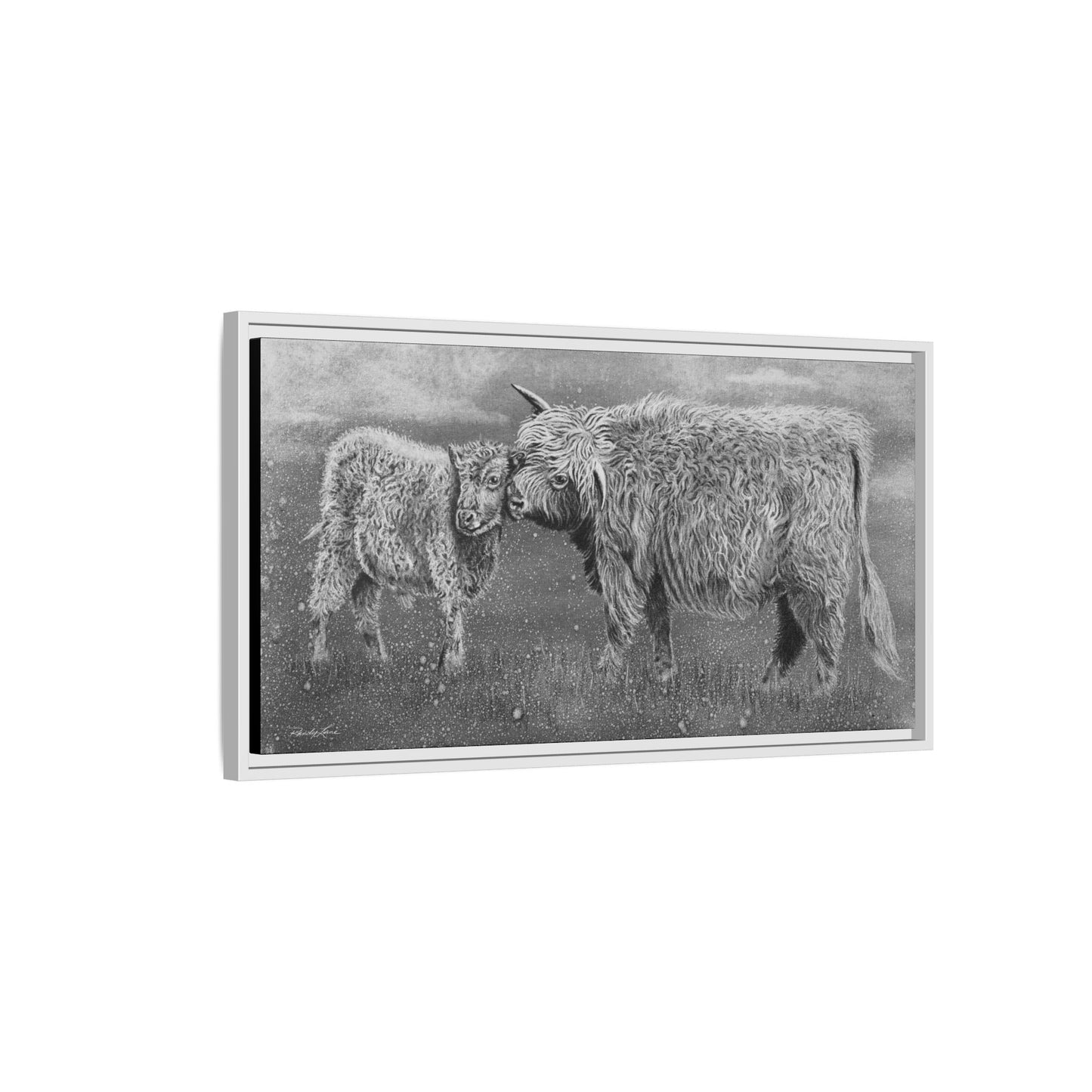 Highland Love, Highland Cattle Framed Canvas Art Print