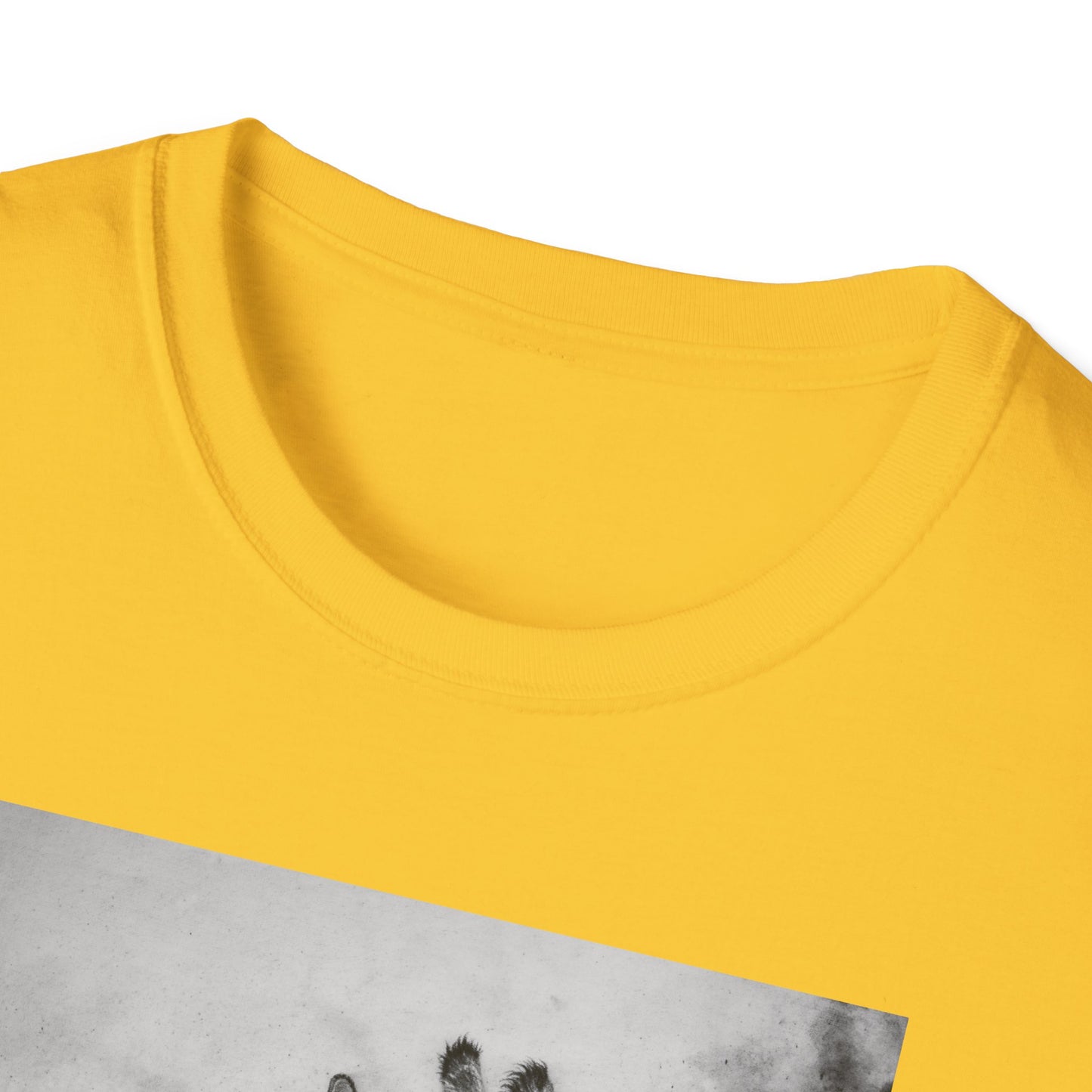 Grace in the Grassland, Giraffe Unisex Softstyle T-Shirt