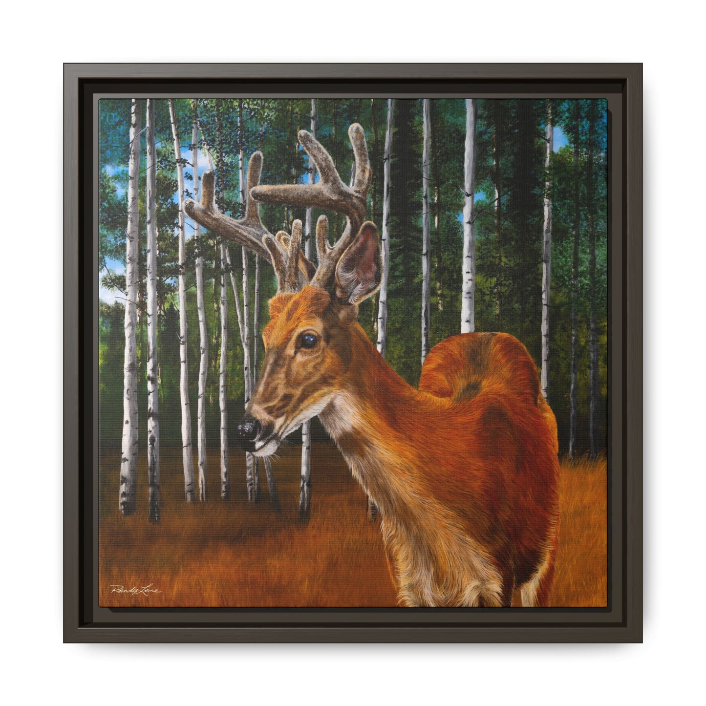 Velvet Crush, Framed Deer Canvas Art