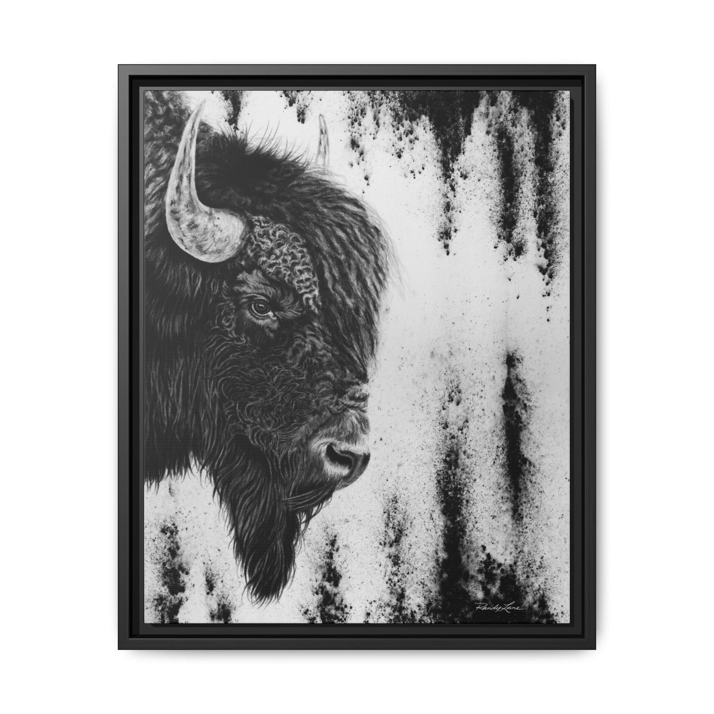 Pride, Framed Bison Canvas Art