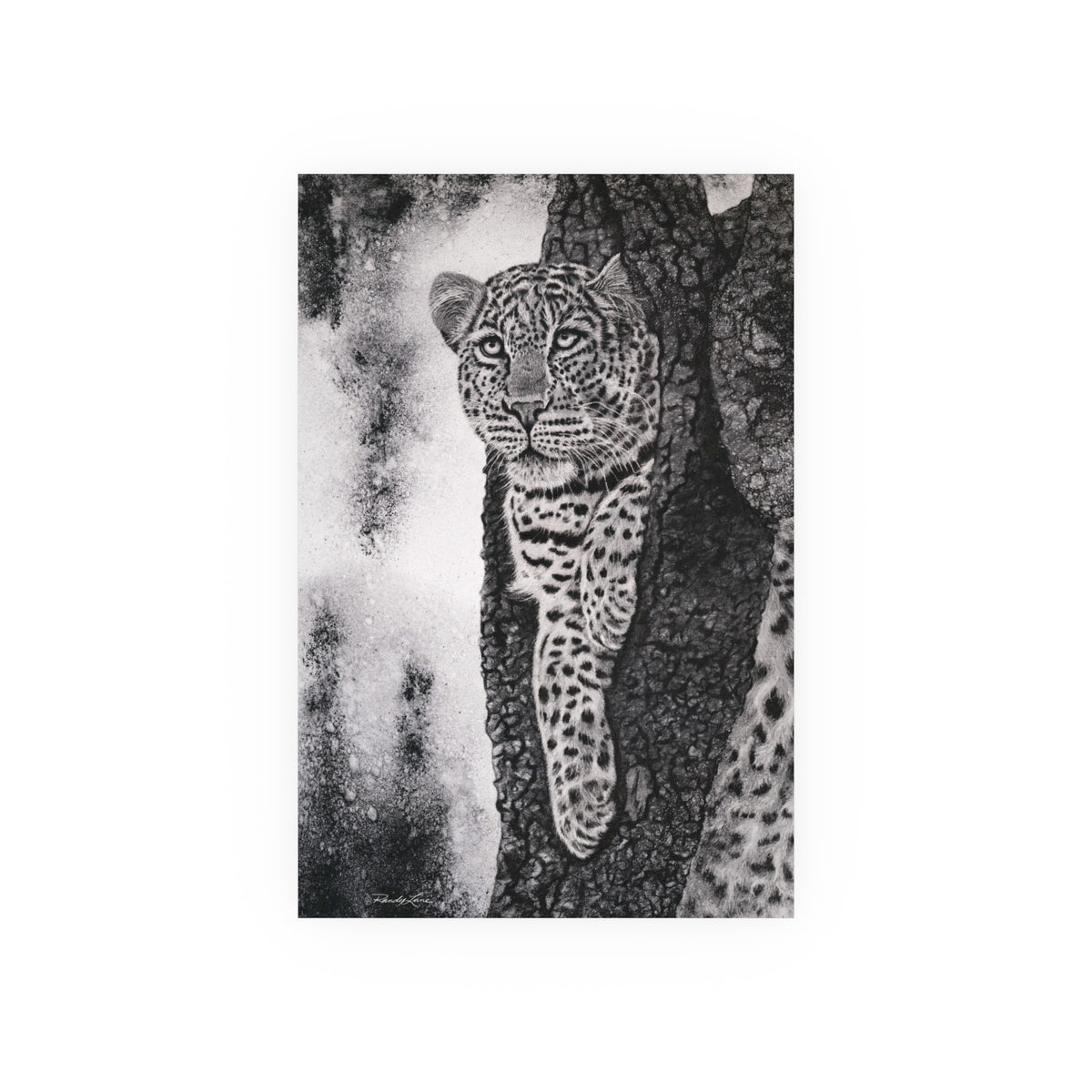 Tree Hugger, Leopard Fine Art Print, Satin/Matte Print