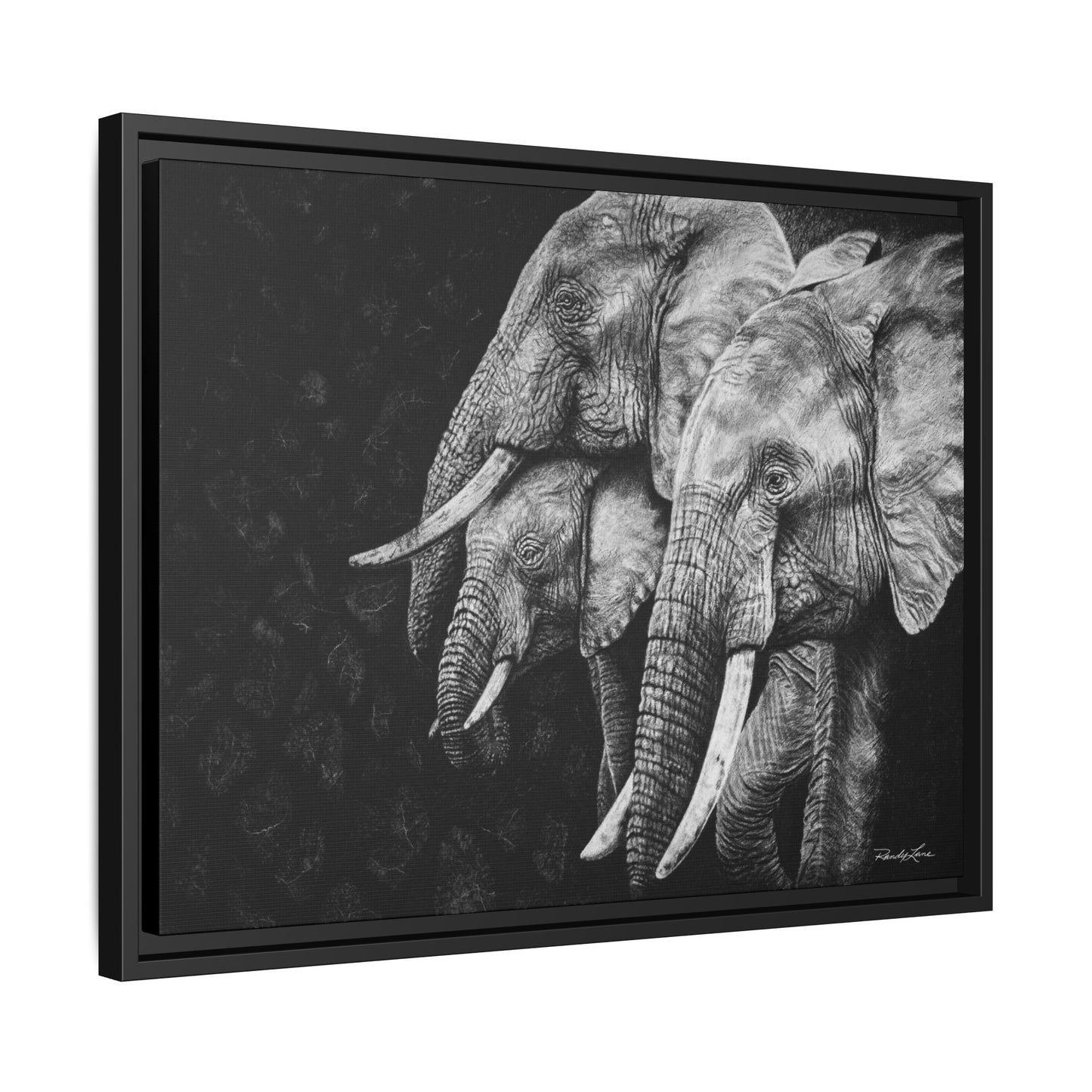 Brushland Bond. Elephant Art Framed Stretched Matte Canvas Print