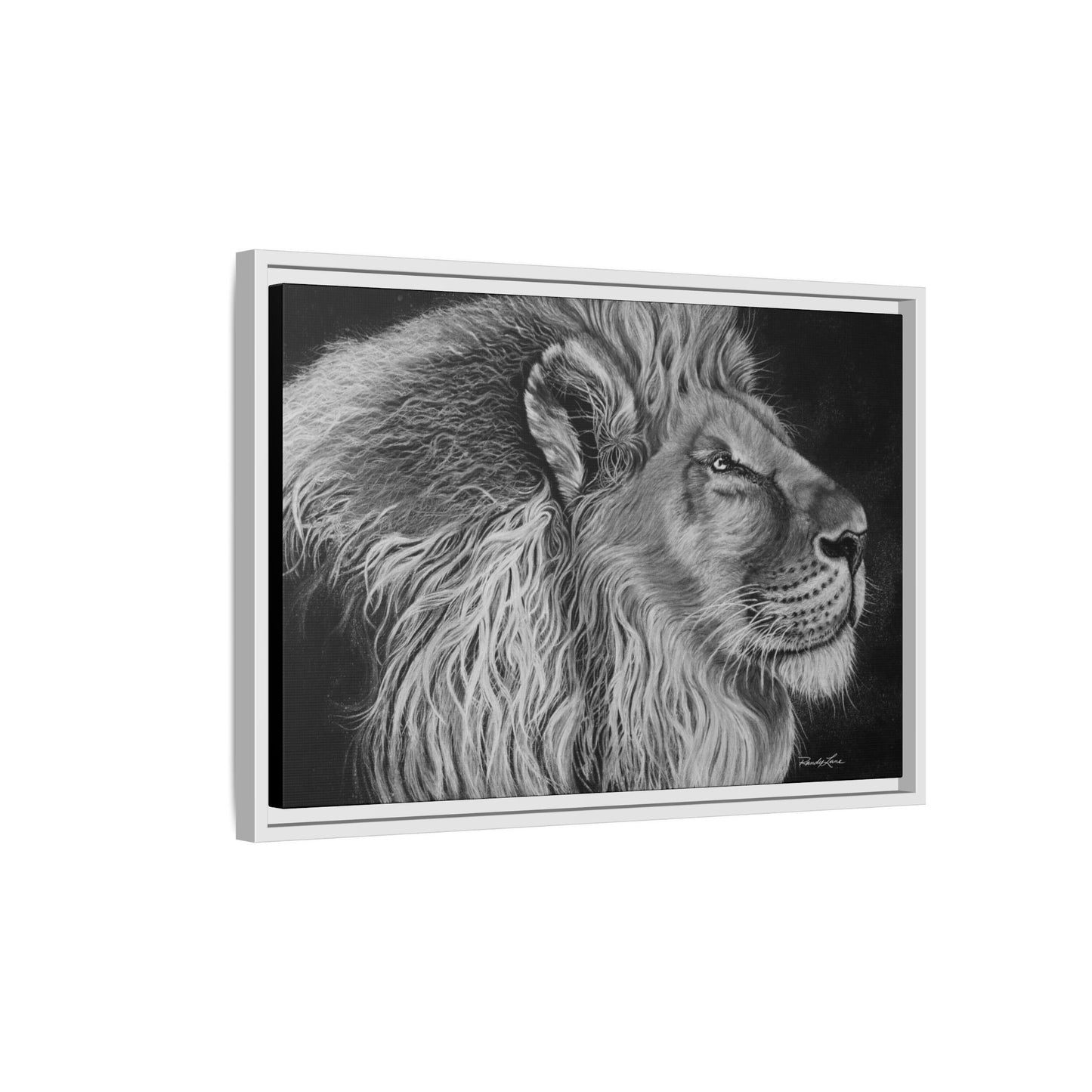 King of Cool, Majestic Lion Framed Canvas Art