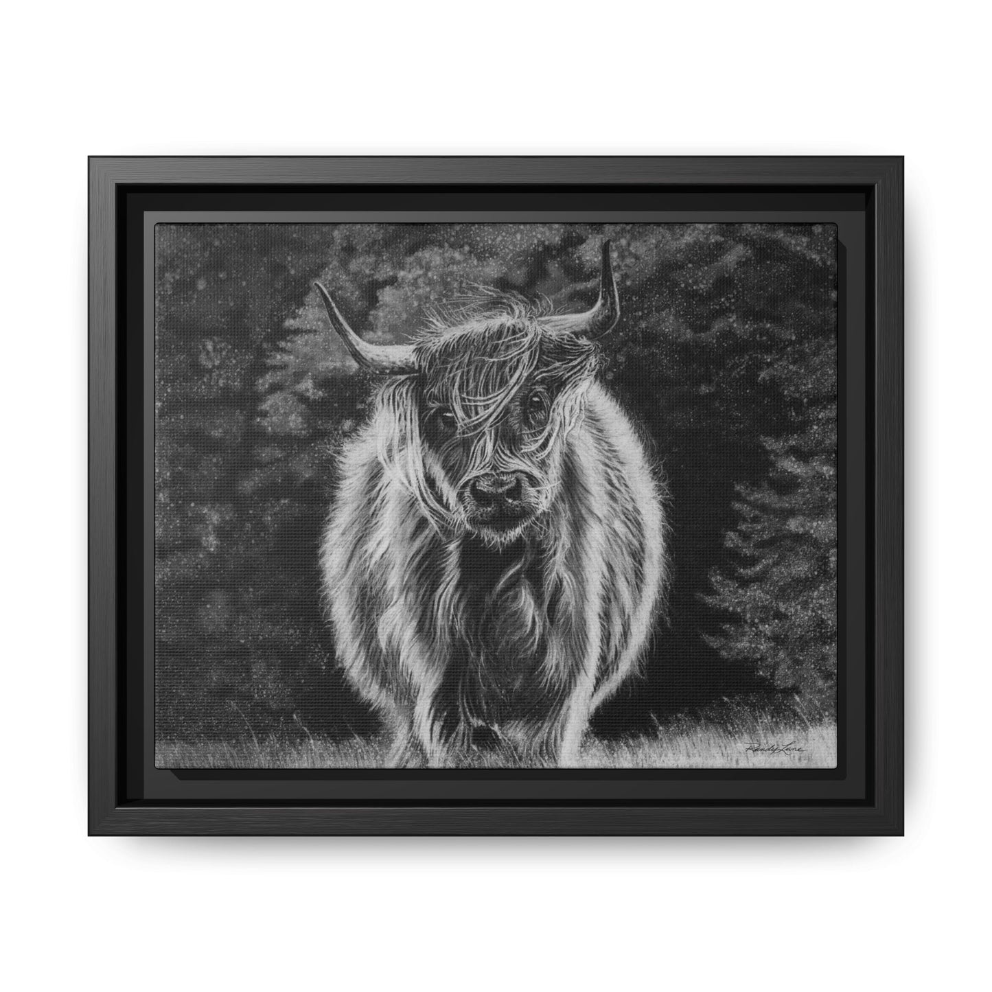 Ragamuffin. Highland Cow Framed Stretched Matte Canvas Print