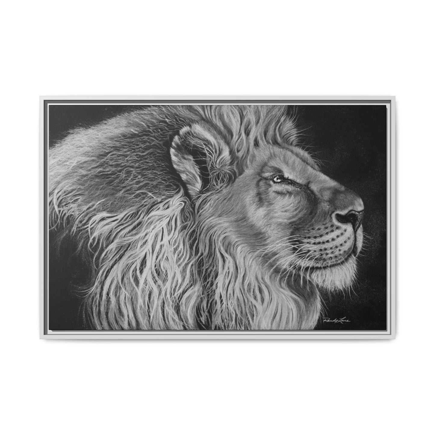King of Cool, Majestic Lion Framed Canvas Art