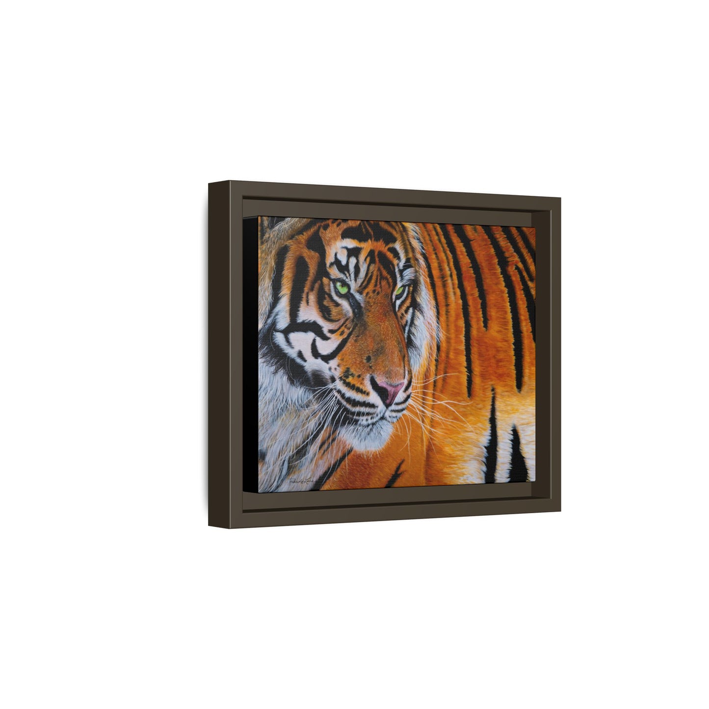 Tiger Stripe, Framed Tiger Canvas Print