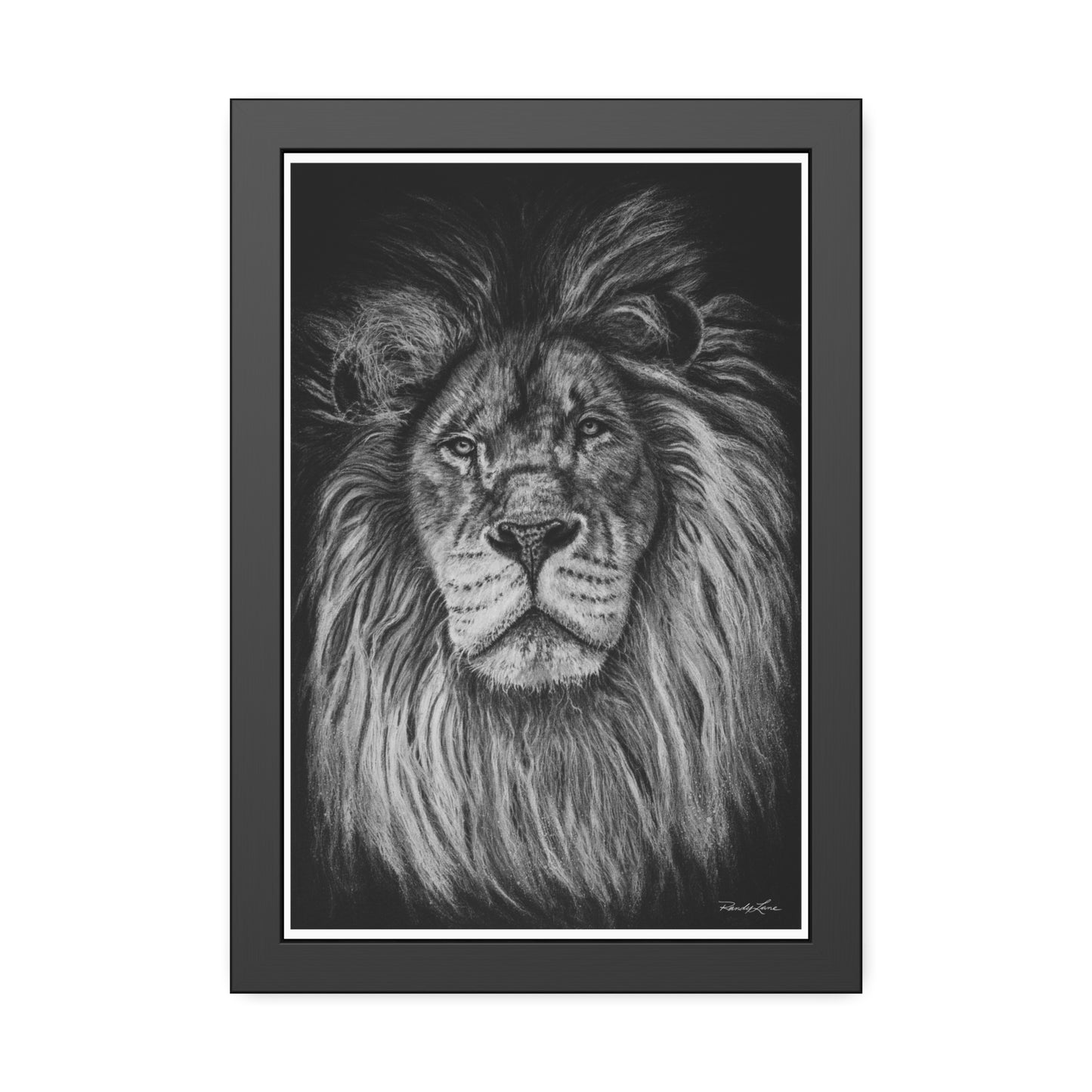 The Mane Event, Framed Fine Art Lion Prints