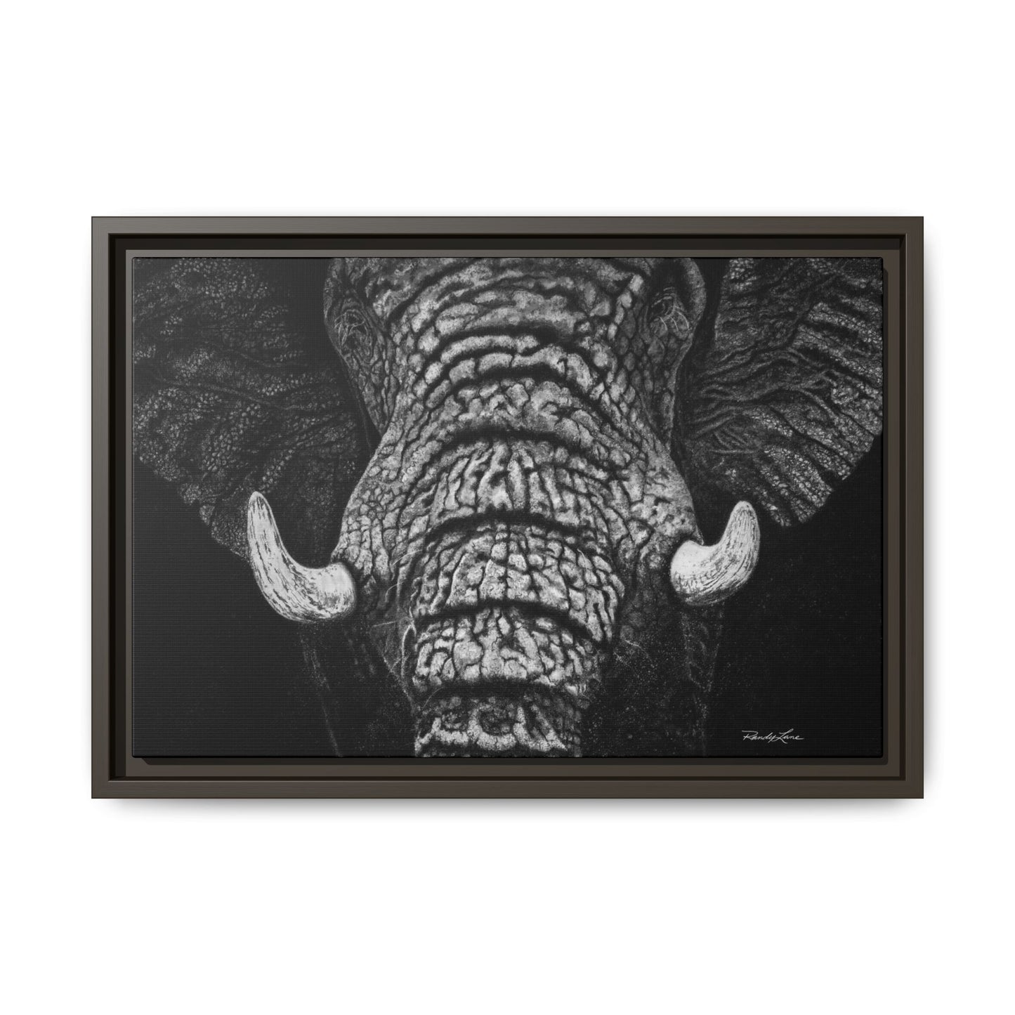 Ebony and Ivory, Elephant Portrait Framed Canvas Wall Art
