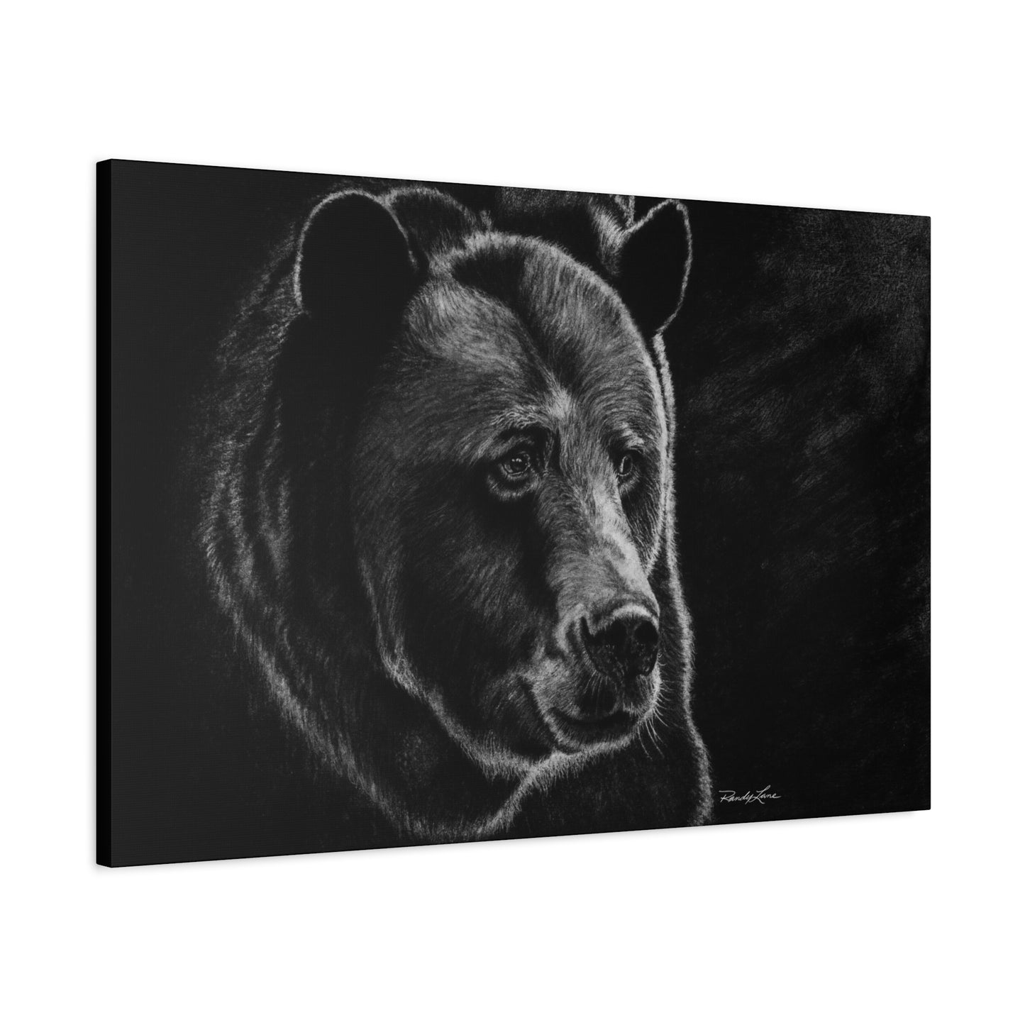 Dominance, Stretched Canvas Bear Print