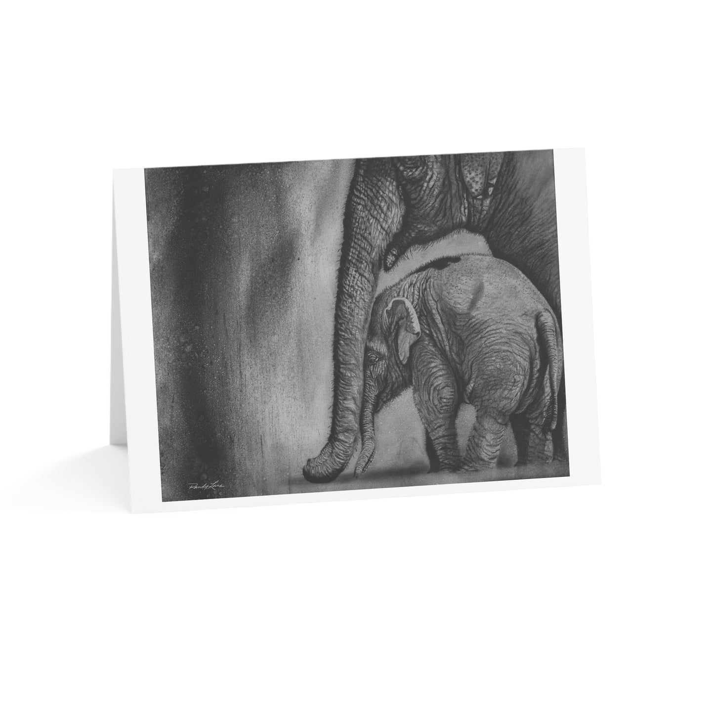 Trunks of Love, Elephant Greeting Cards - Set of 1, 10, 30, or 50 for Birthdays, Celebrations, Sympathy, or Thank You Notes