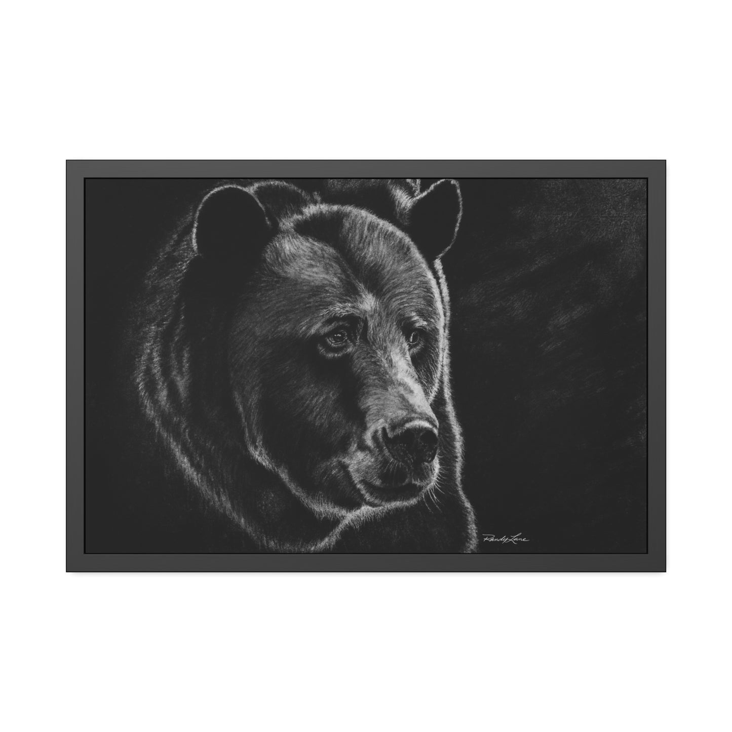 Dominance,  Bear Framed Fine Art Print