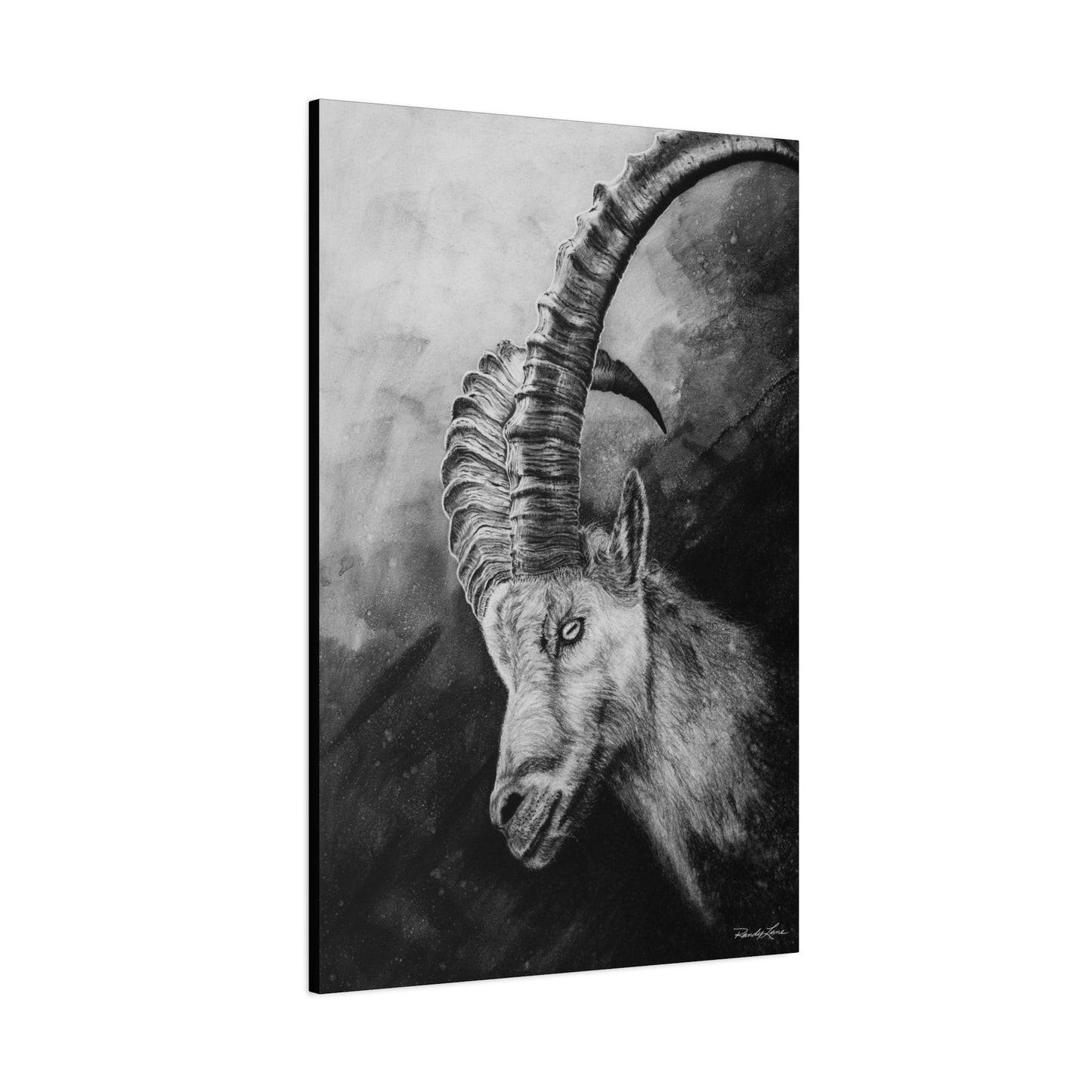 Apex, Alpine Mountain Goat Canvas Art, Stretched Wall Decor