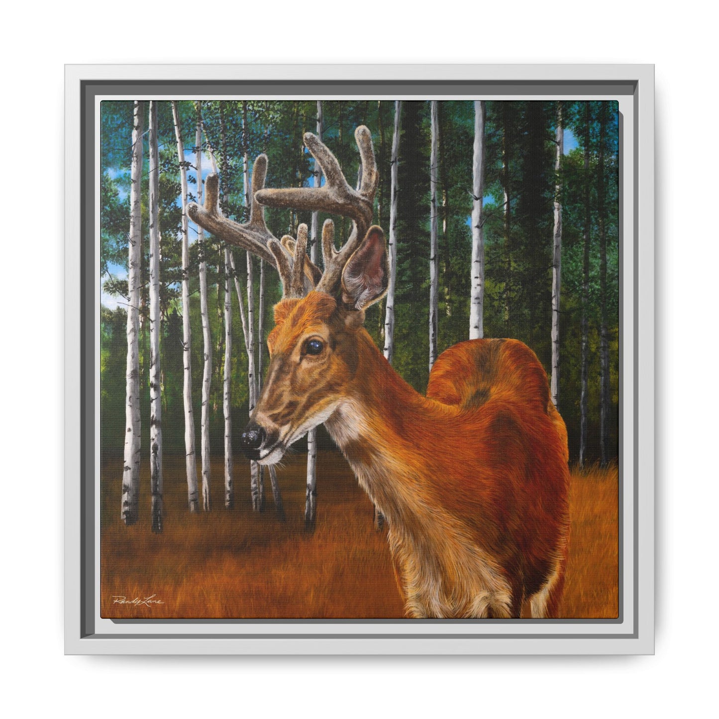 Velvet Crush, Framed Deer Canvas Art