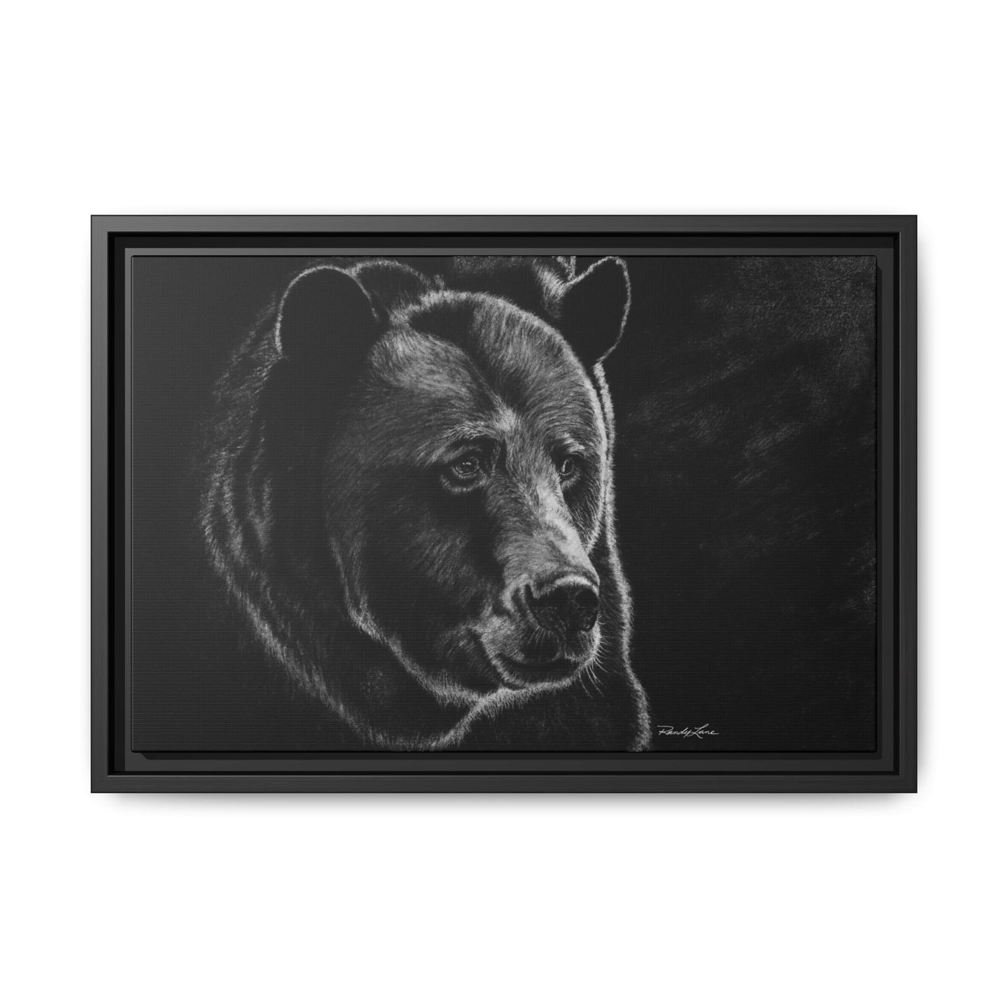 Dominance, Bear Portrait Stretched Framed Matte Canvas Print