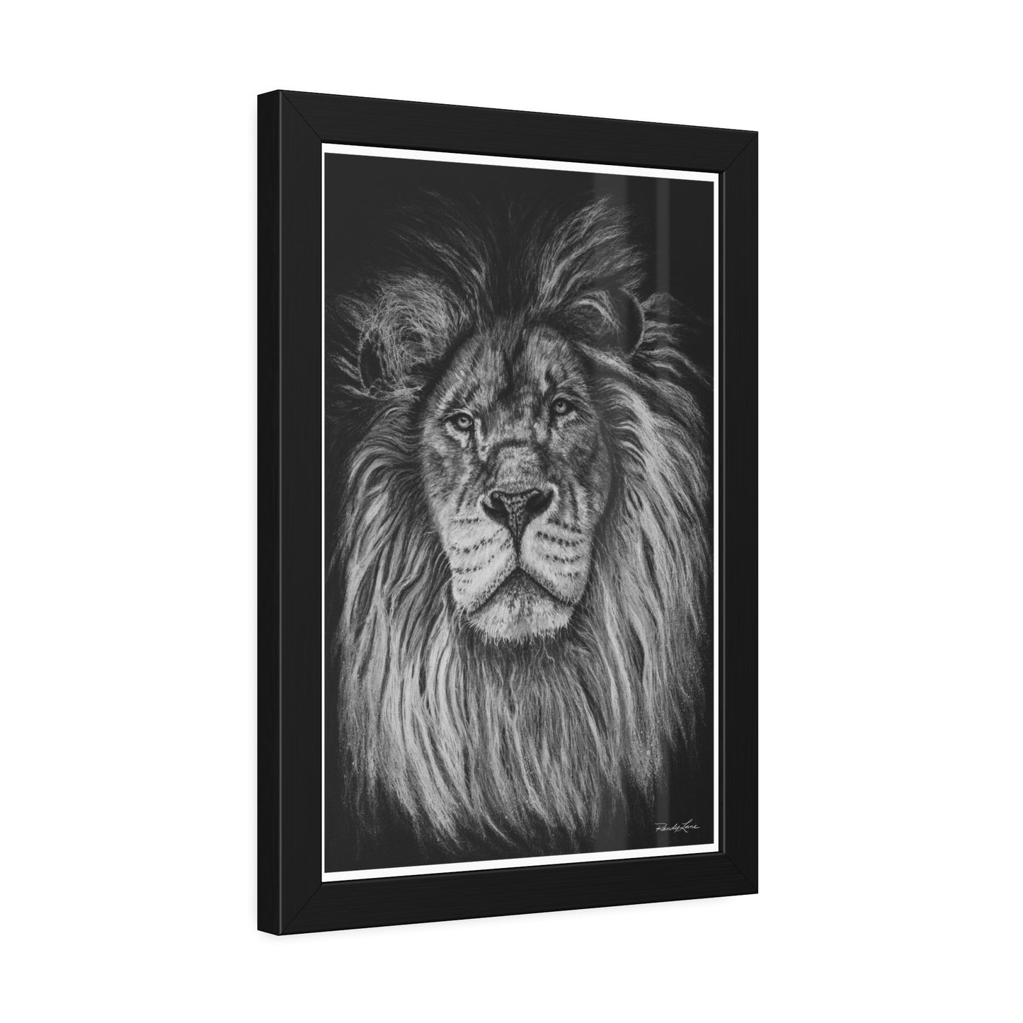 The Mane Event, Framed Fine Art Lion Prints