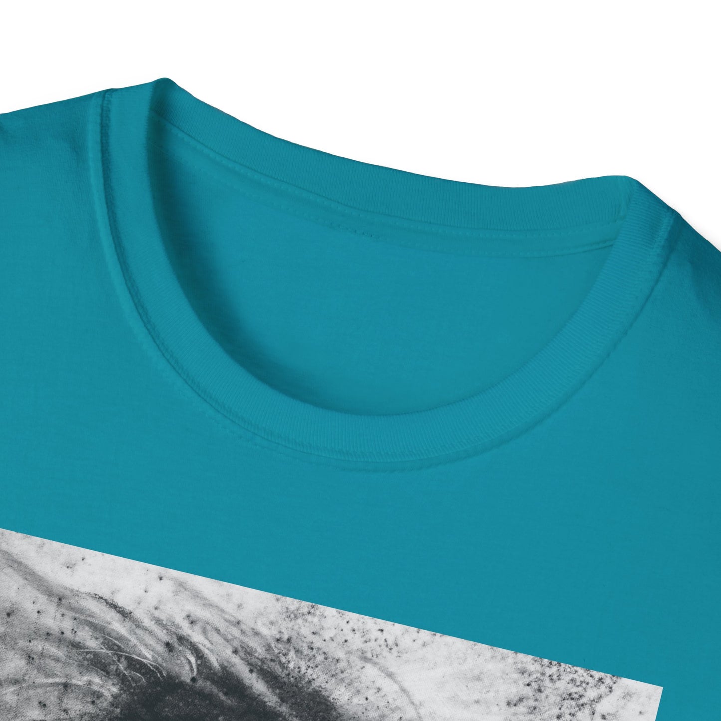 Let the Lion Roar, Lion Graphic Tee, Unisex T-Shirt