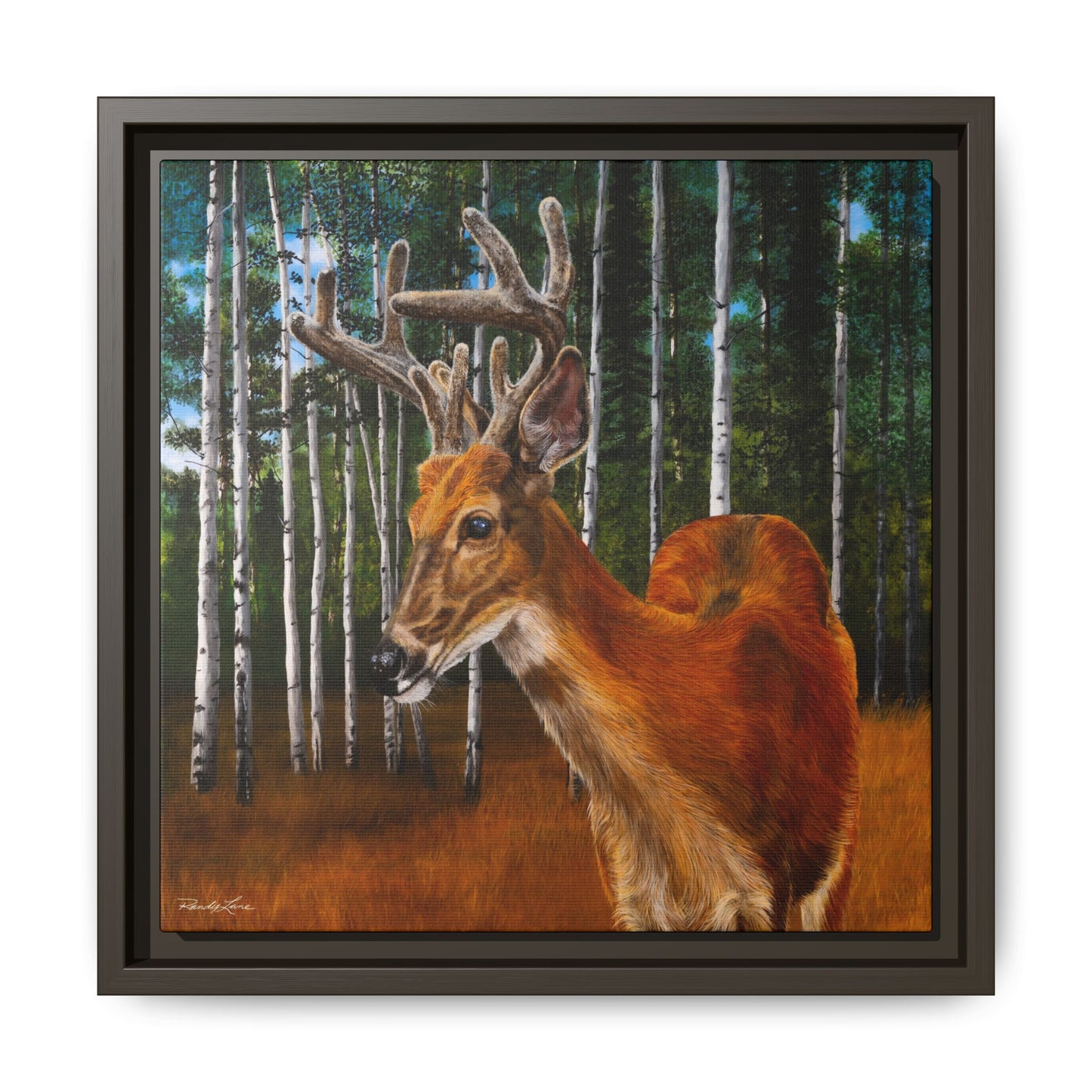 Velvet Crush, Framed Deer Canvas Art