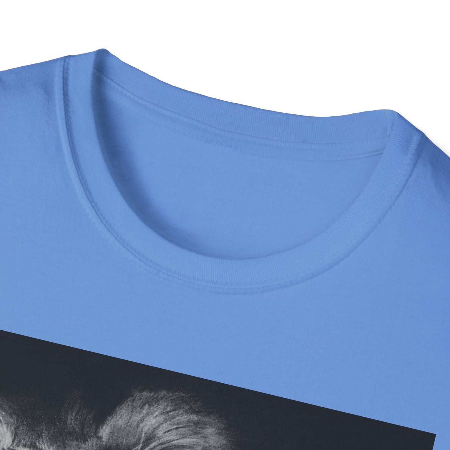 Renown, Lion Graphic T-Shirt, Unisex Lion Tee