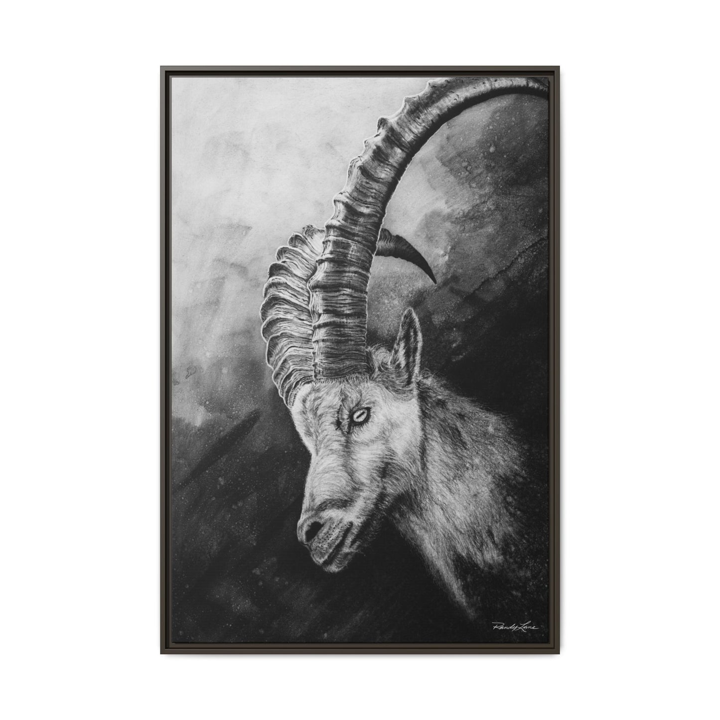 Apex,  Alpine Mountain Goat, Framed Matte Canvas Art Print,
