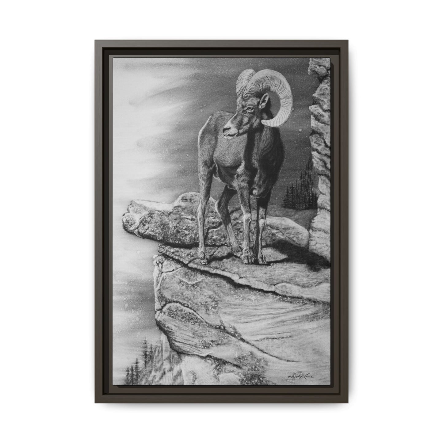 Legendary, Bighorn Sheep Framed Matte Stretched Canvas