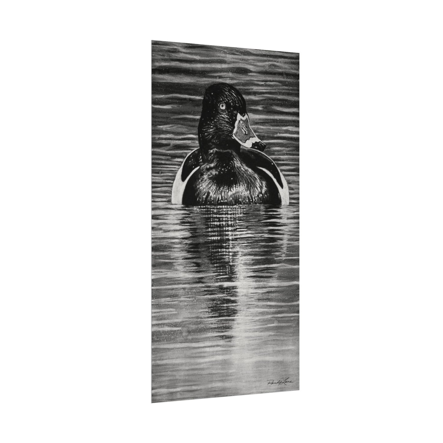 Reflection, Ring necked Duck Painting, Textured Matte Print