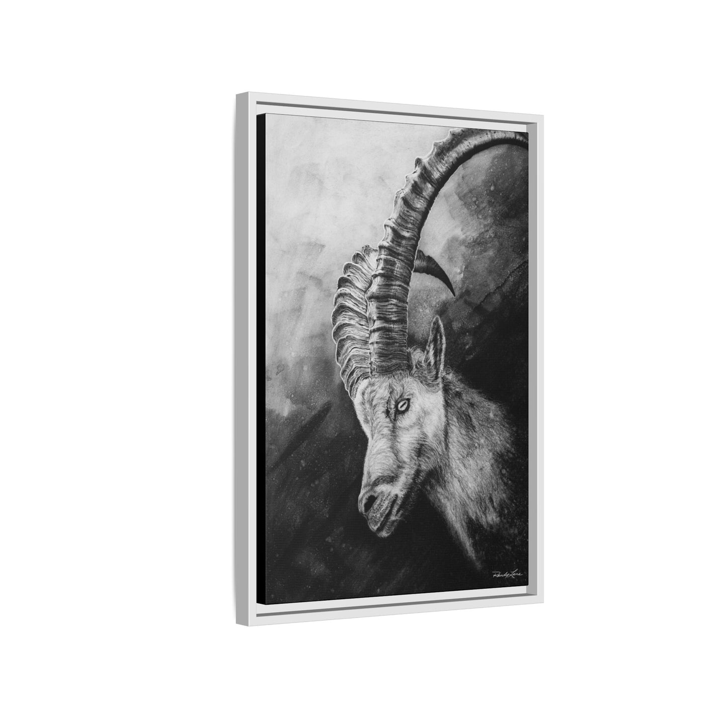 Apex,  Alpine Mountain Goat, Framed Matte Canvas Art Print,