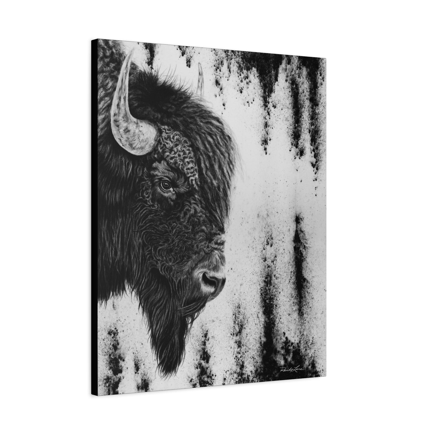 Pride, Bison Stretched Canvas Wall Decor