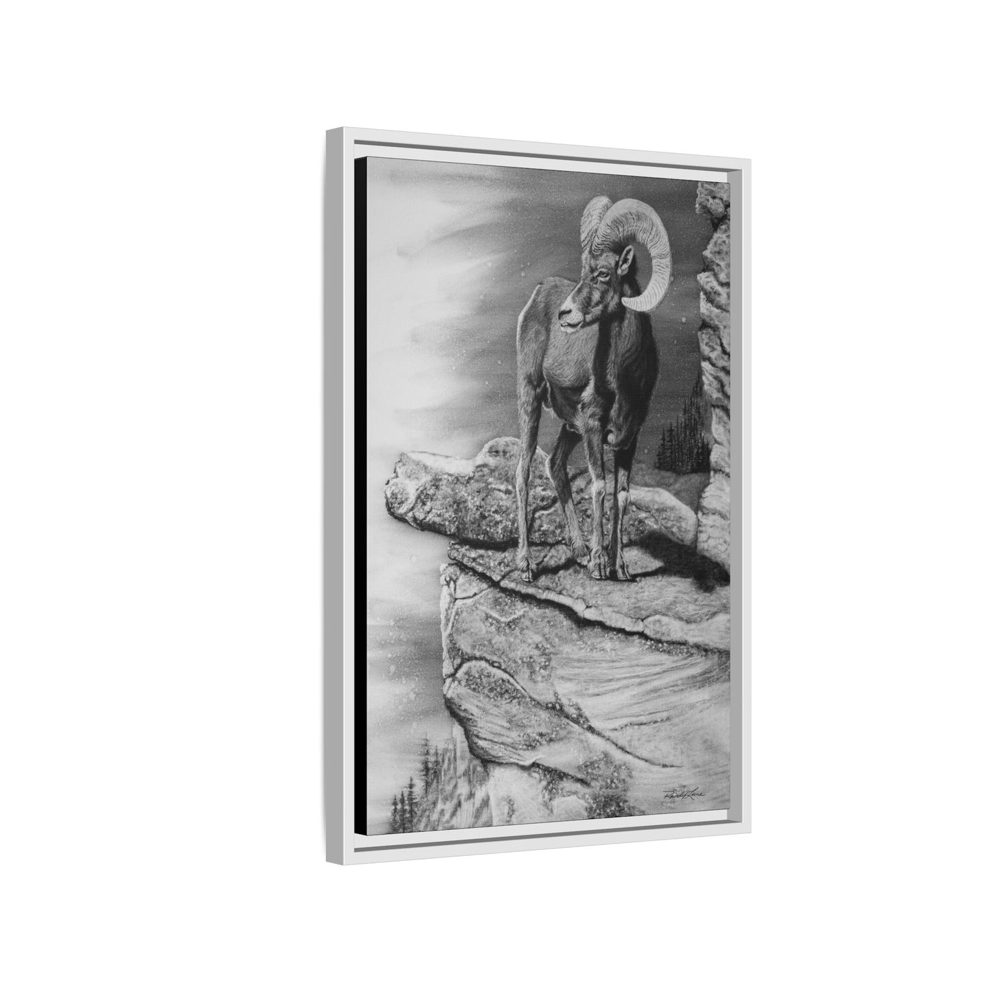 Legendary, Bighorn Sheep Framed Matte Stretched Canvas