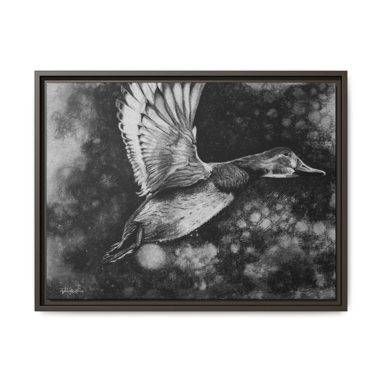 Flare, Framed Duck Canvas Art