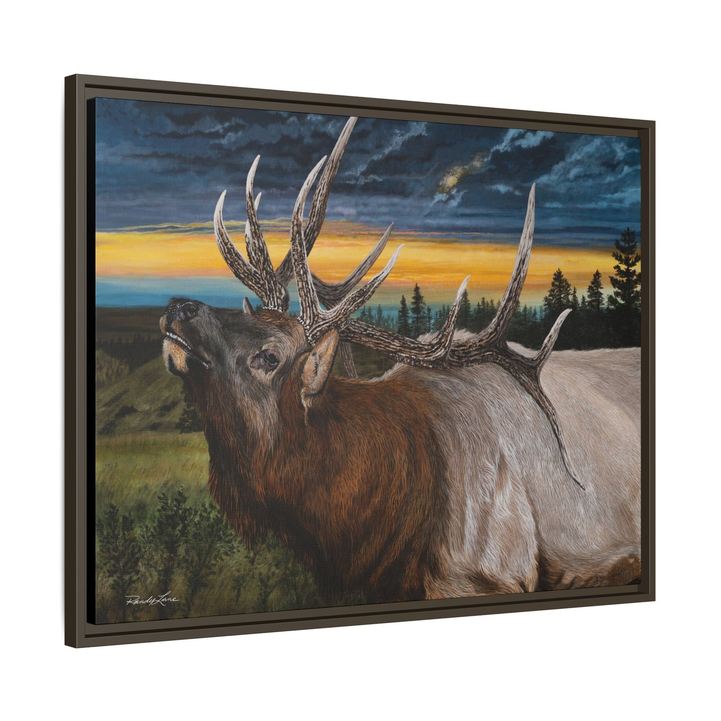 Sunset Serenade,  Elk Framed Matte Canvas Print