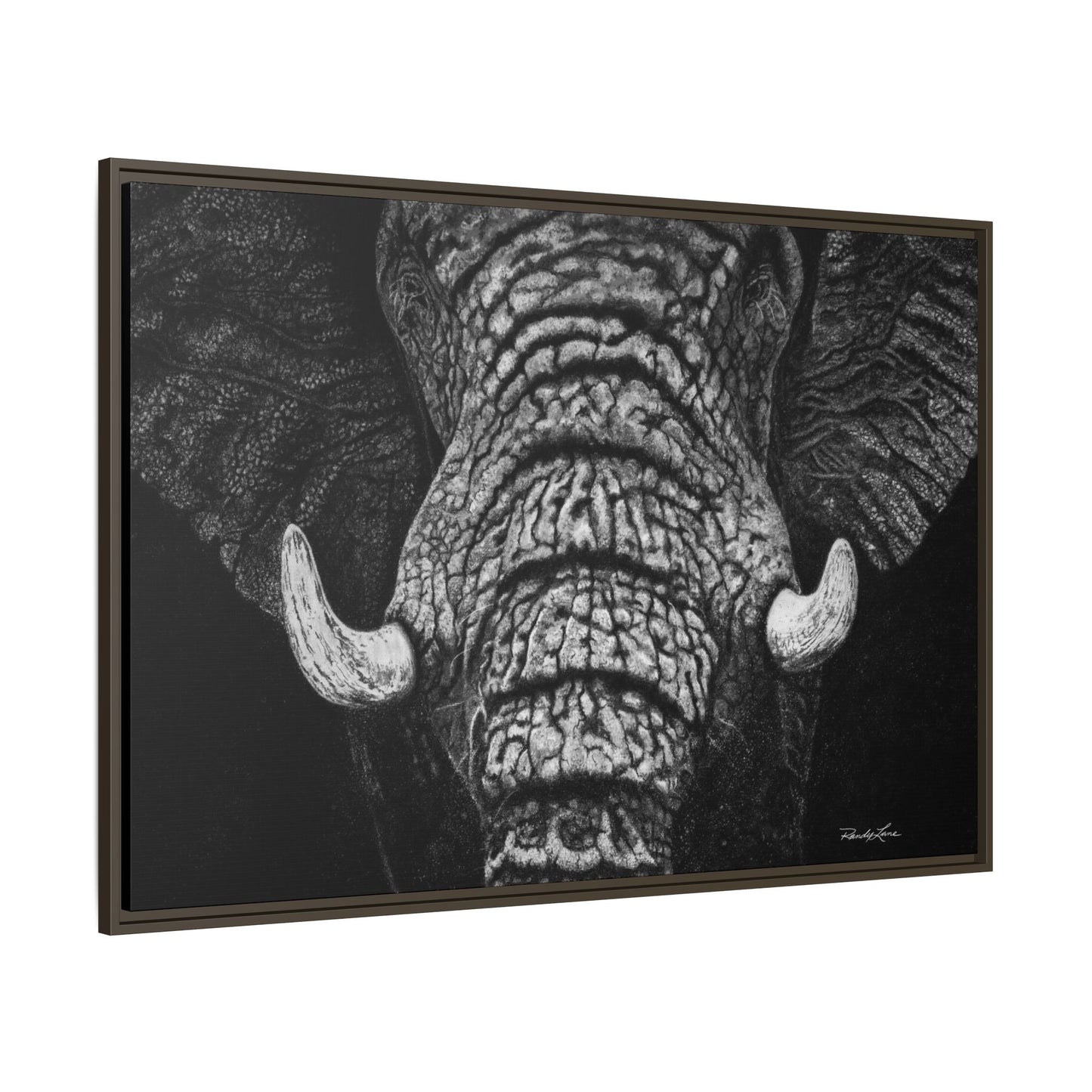 Ebony and Ivory, Elephant Portrait Framed Canvas Wall Art