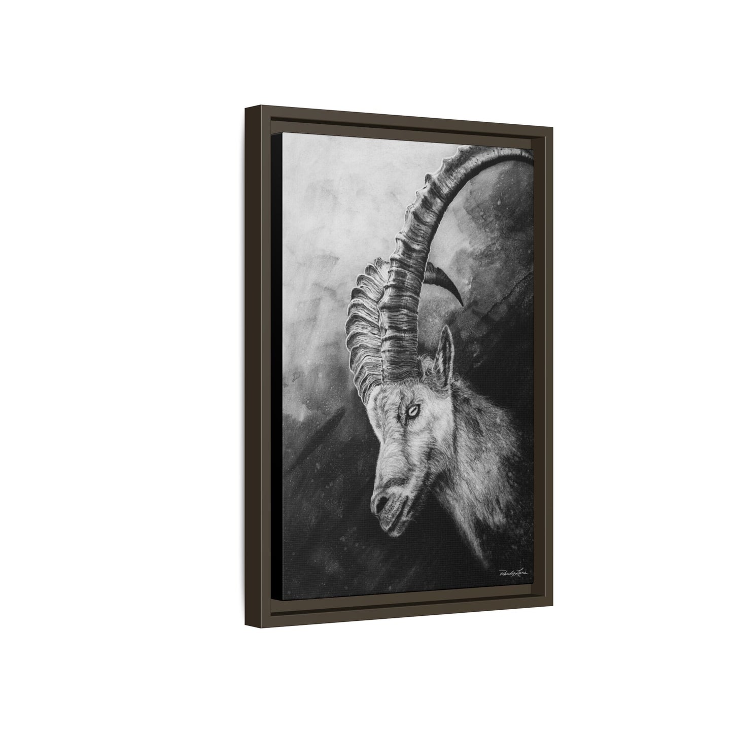 Apex,  Alpine Mountain Goat, Framed Matte Canvas Art Print,