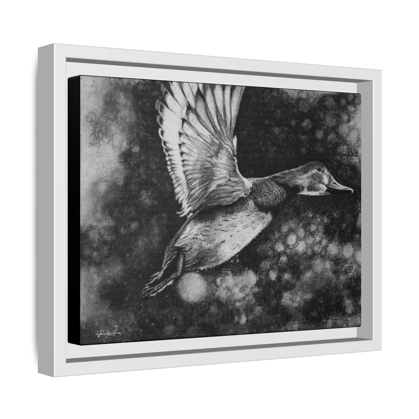 Flare, Framed Duck Canvas Art