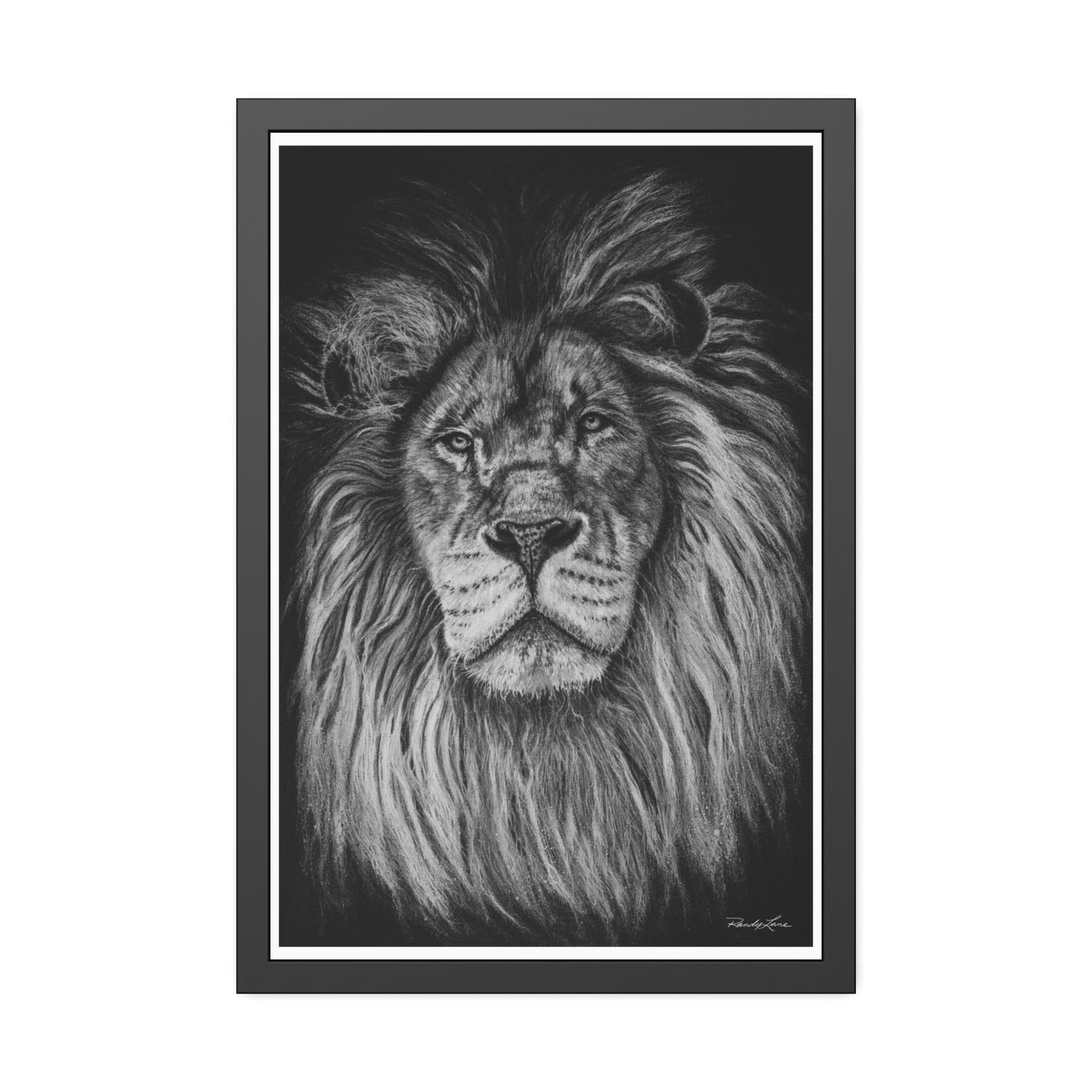 The Mane Event, Framed Fine Art Lion Prints