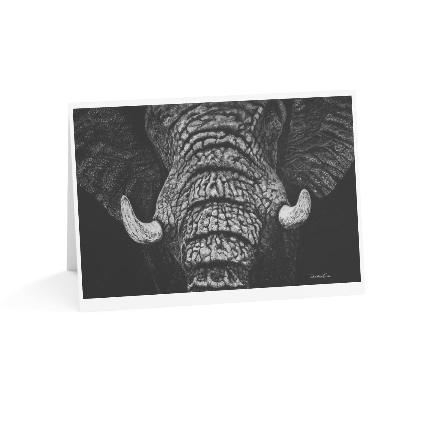 Ebony and Ivory, Elegant Elephant Greeting Cards