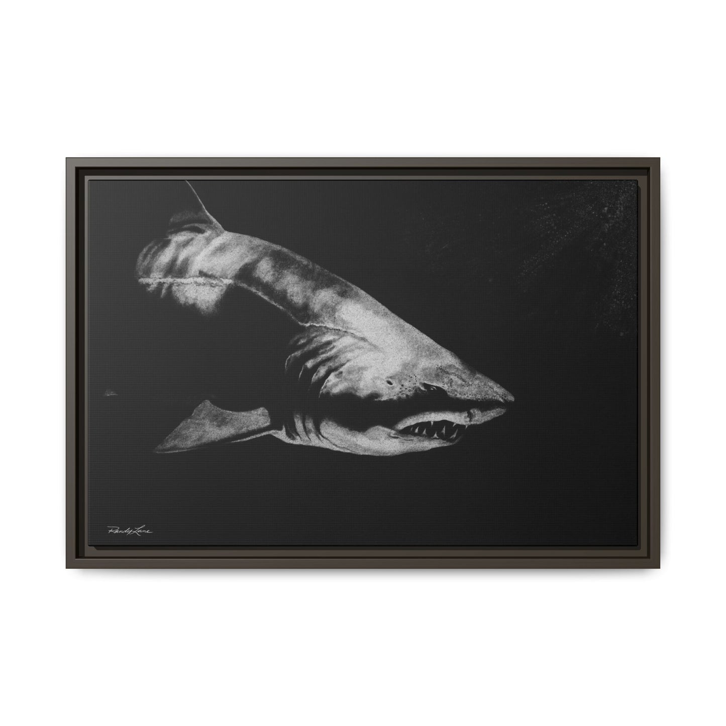 Below, Framed Shark Fine Art Print, Matte Canvas Wall Decor