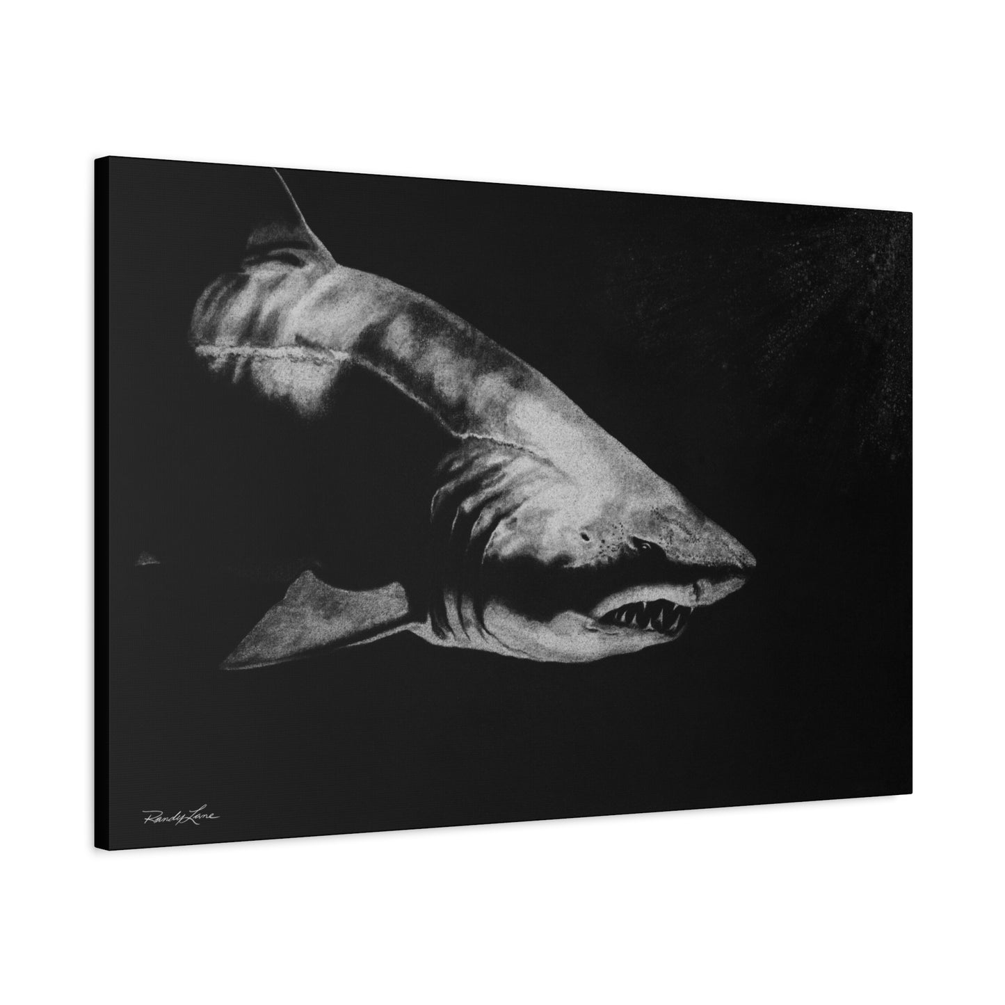 Below, Shark Fine Art Canvas Print