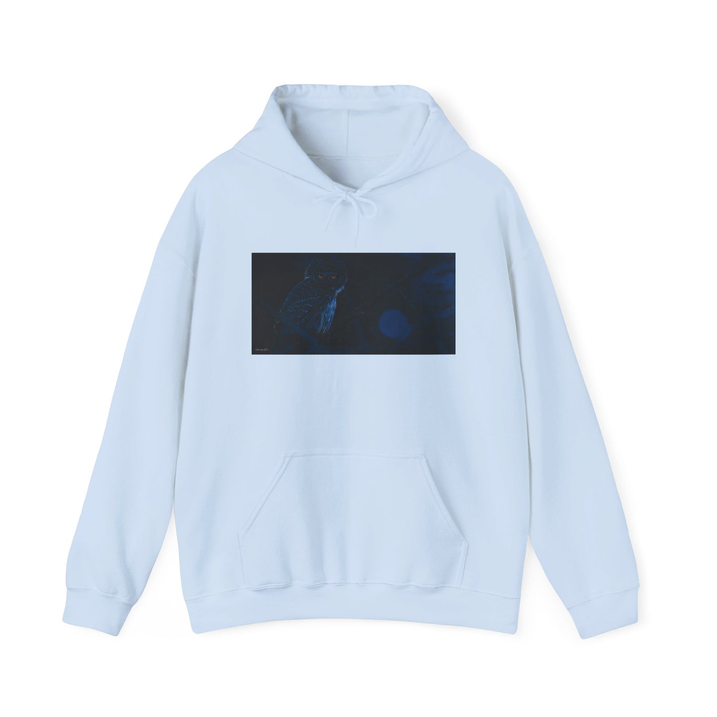 Bright Eyes, Owl print Cozy Unisex Hooded Sweatshirt