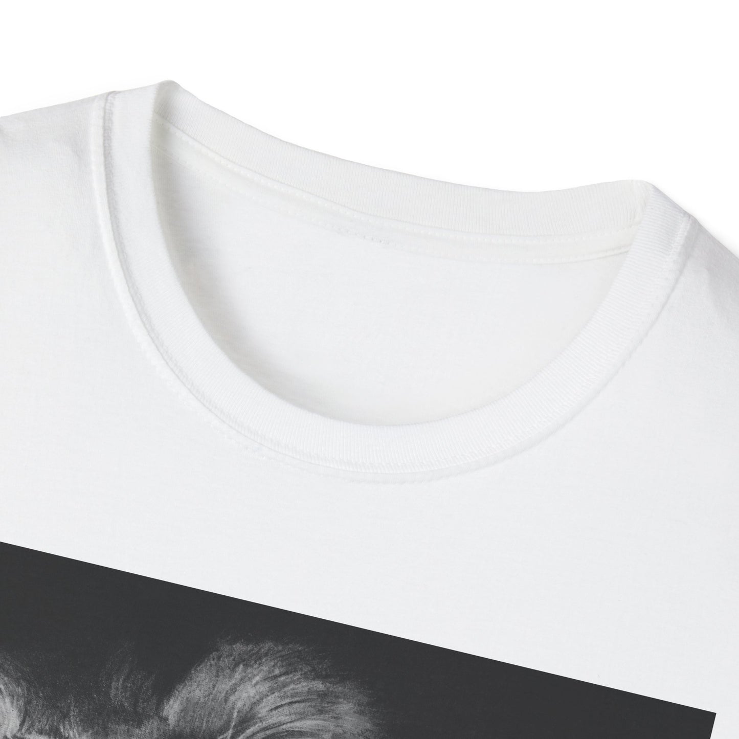 Renown, Lion Graphic T-Shirt, Unisex Lion Tee