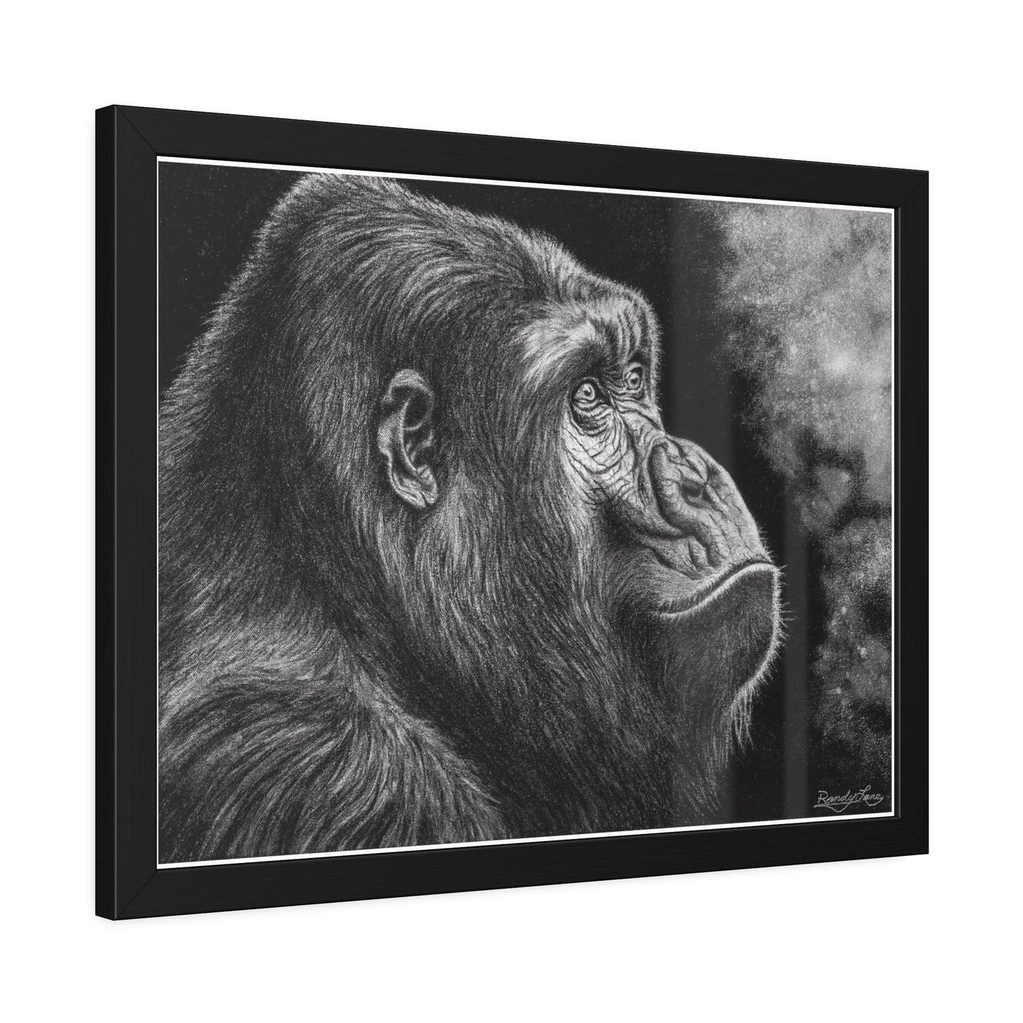 Gorilla, Framed Fine Art Print
