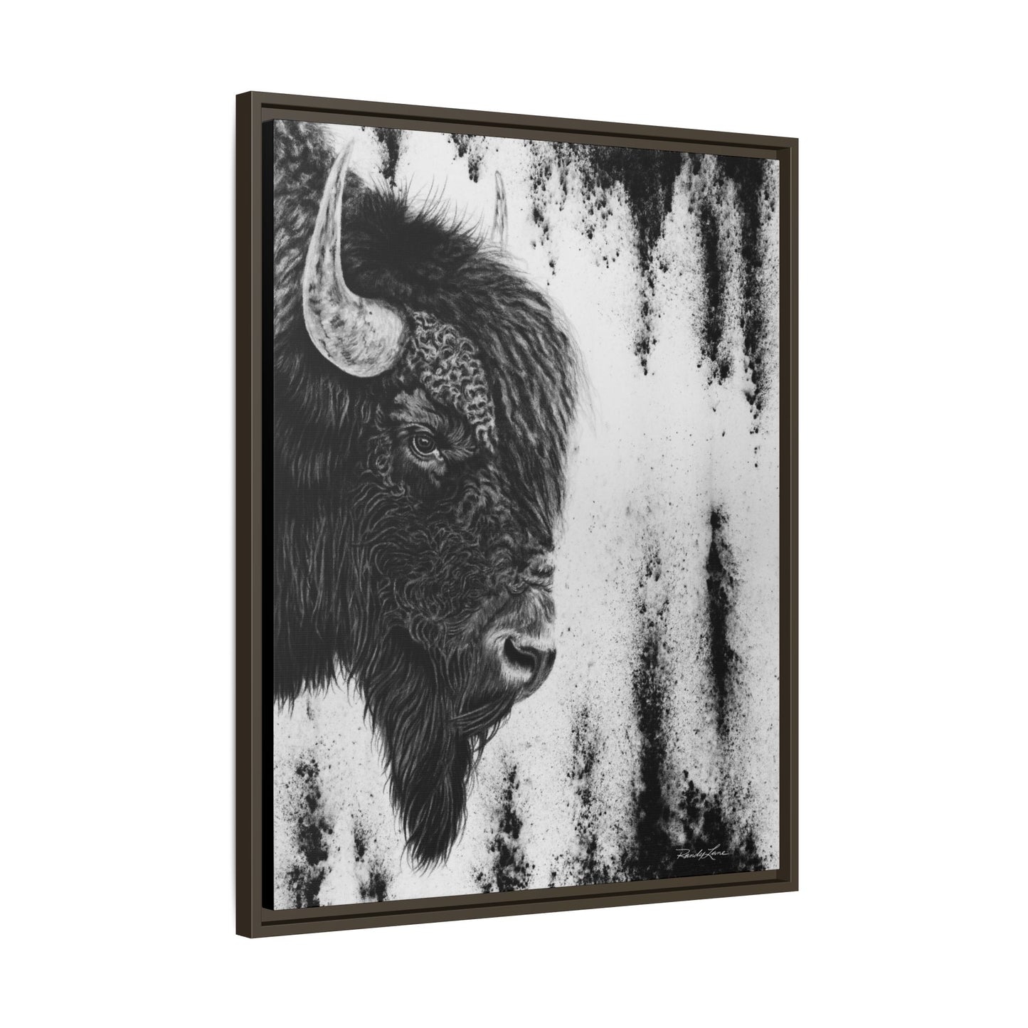 Pride, Framed Bison Canvas Art