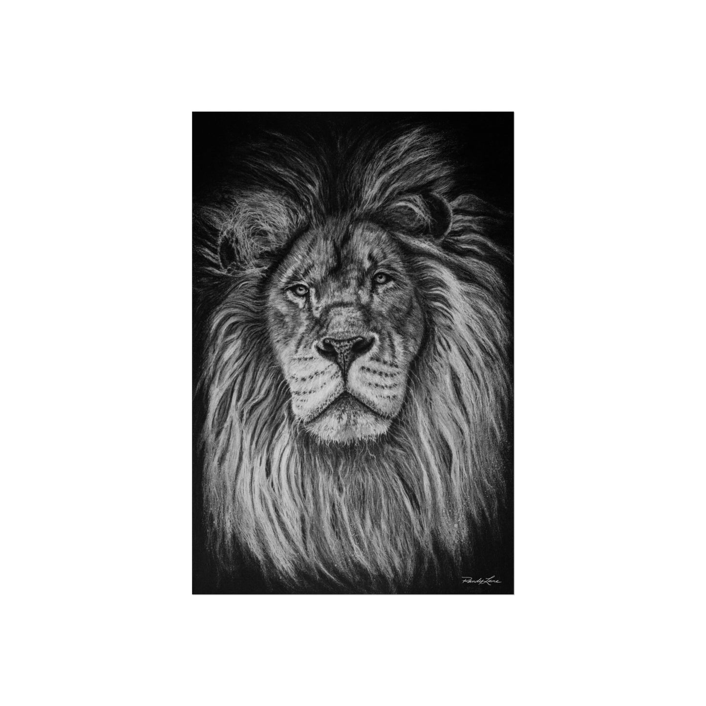The Mane Event, Fine Art Lion Print