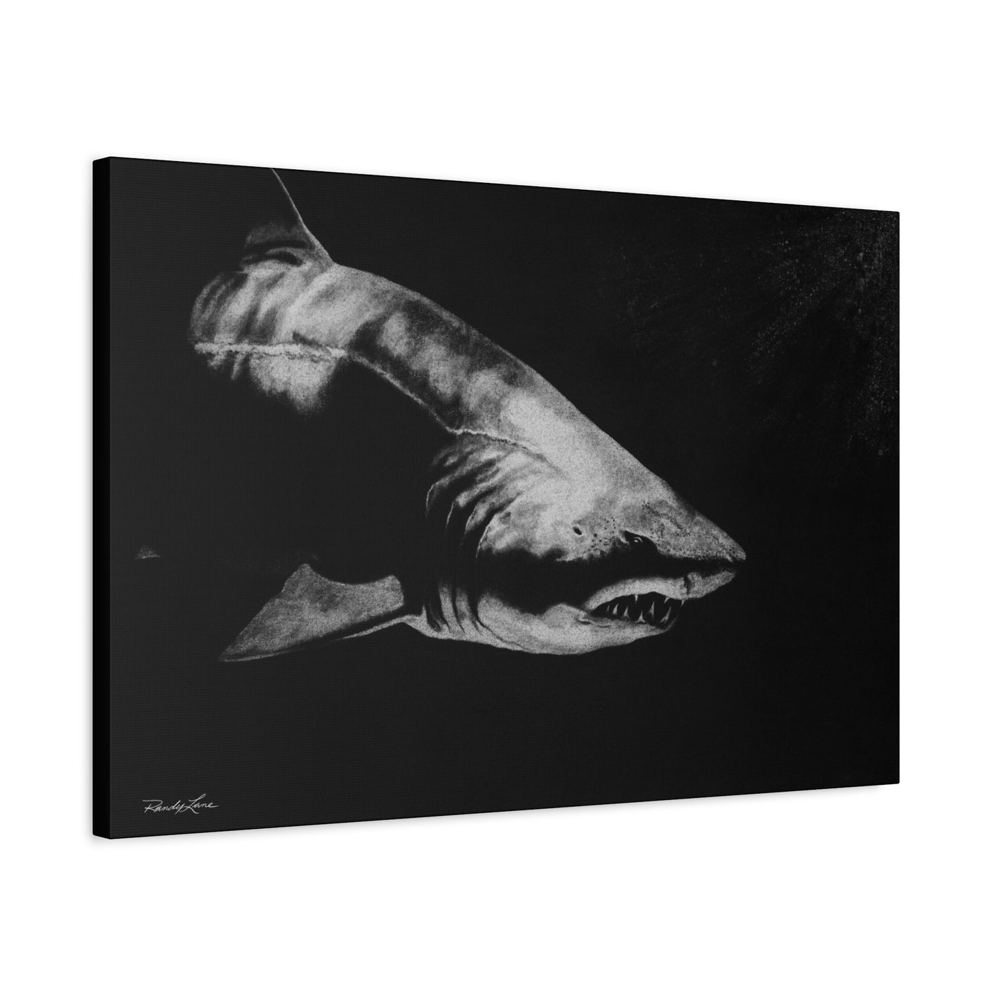 Below, Shark Fine Art Canvas Print