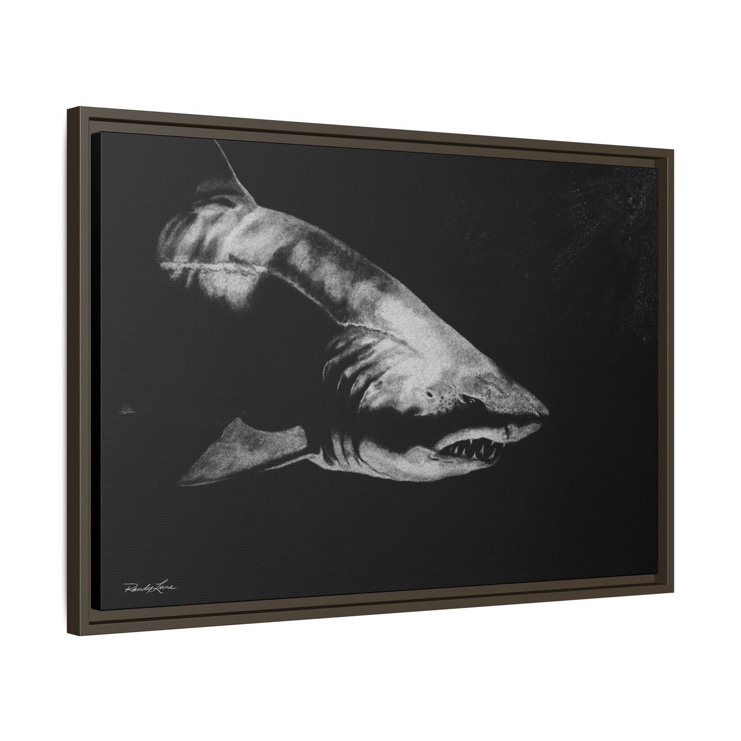 Below, Framed Shark Fine Art Print, Matte Canvas Wall Decor