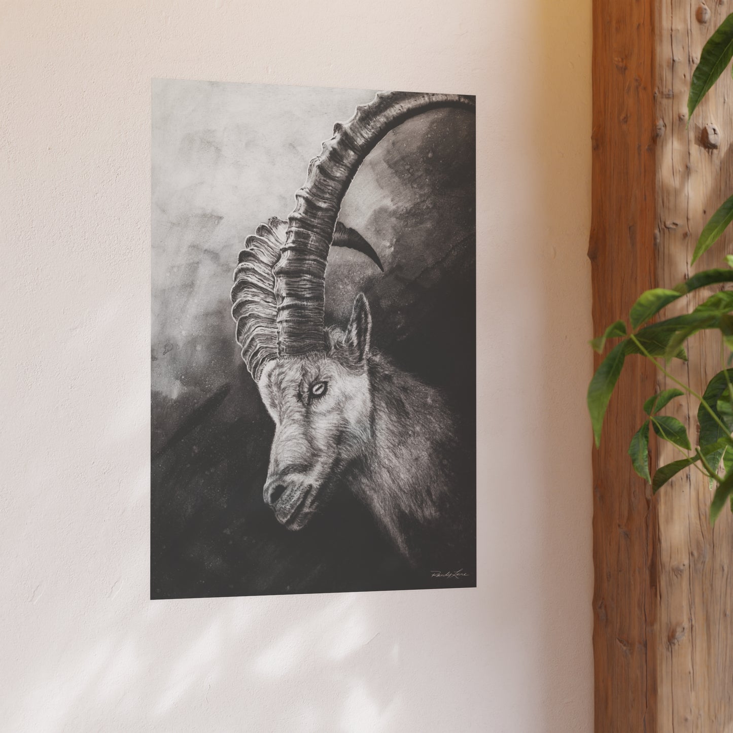 Apex, Alpine Ibex Archival Matte Fine Art Print