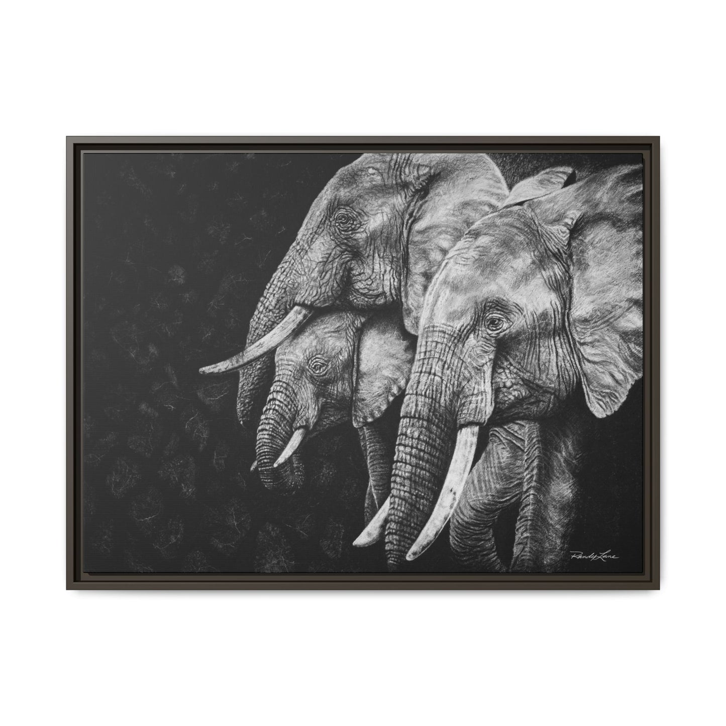 Brushland Bond. Elephant Art Framed Stretched Matte Canvas Print