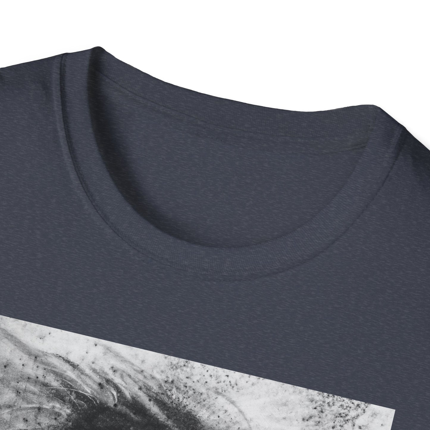 Let the Lion Roar, Lion Graphic Tee, Unisex T-Shirt